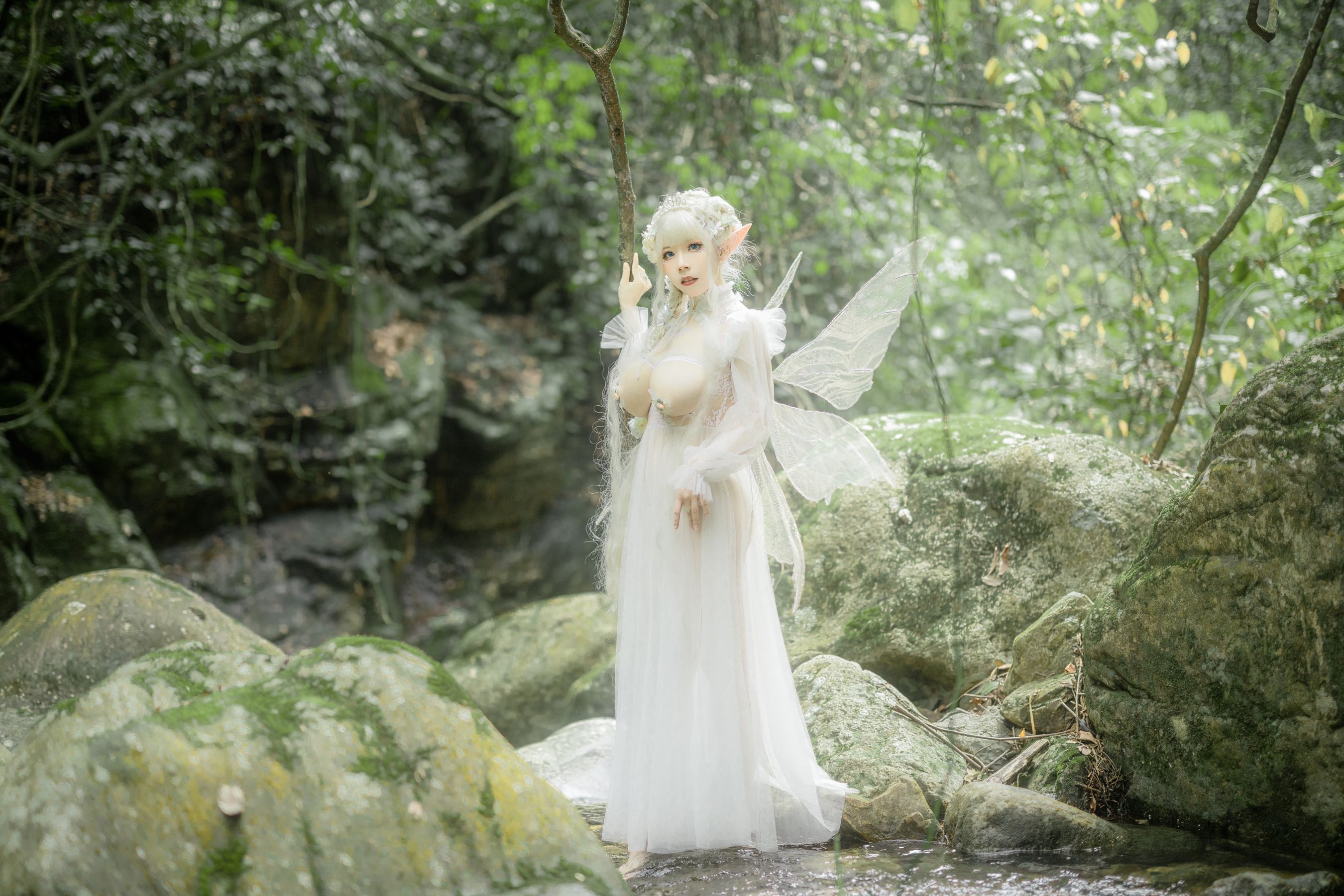 [福利COS] 自闭颜球球(无颜小天使wy) - 林中精灵
