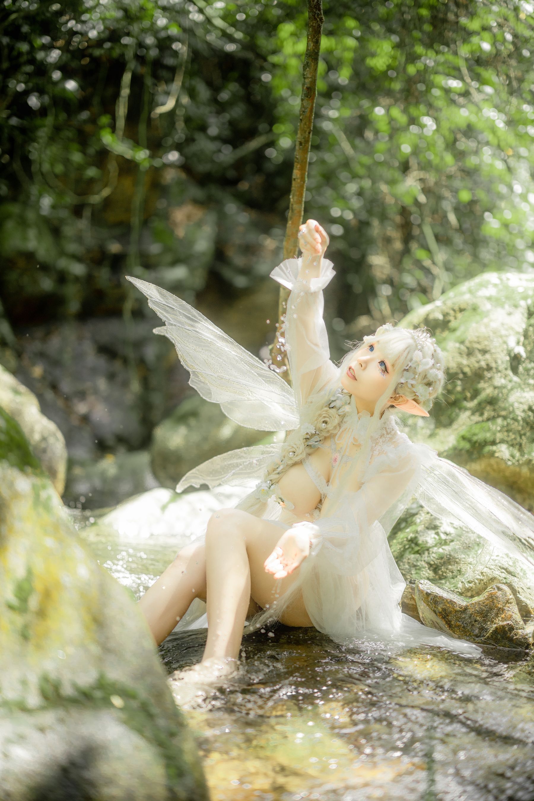 [福利COS] 自闭颜球球(无颜小天使wy) - 林中精灵