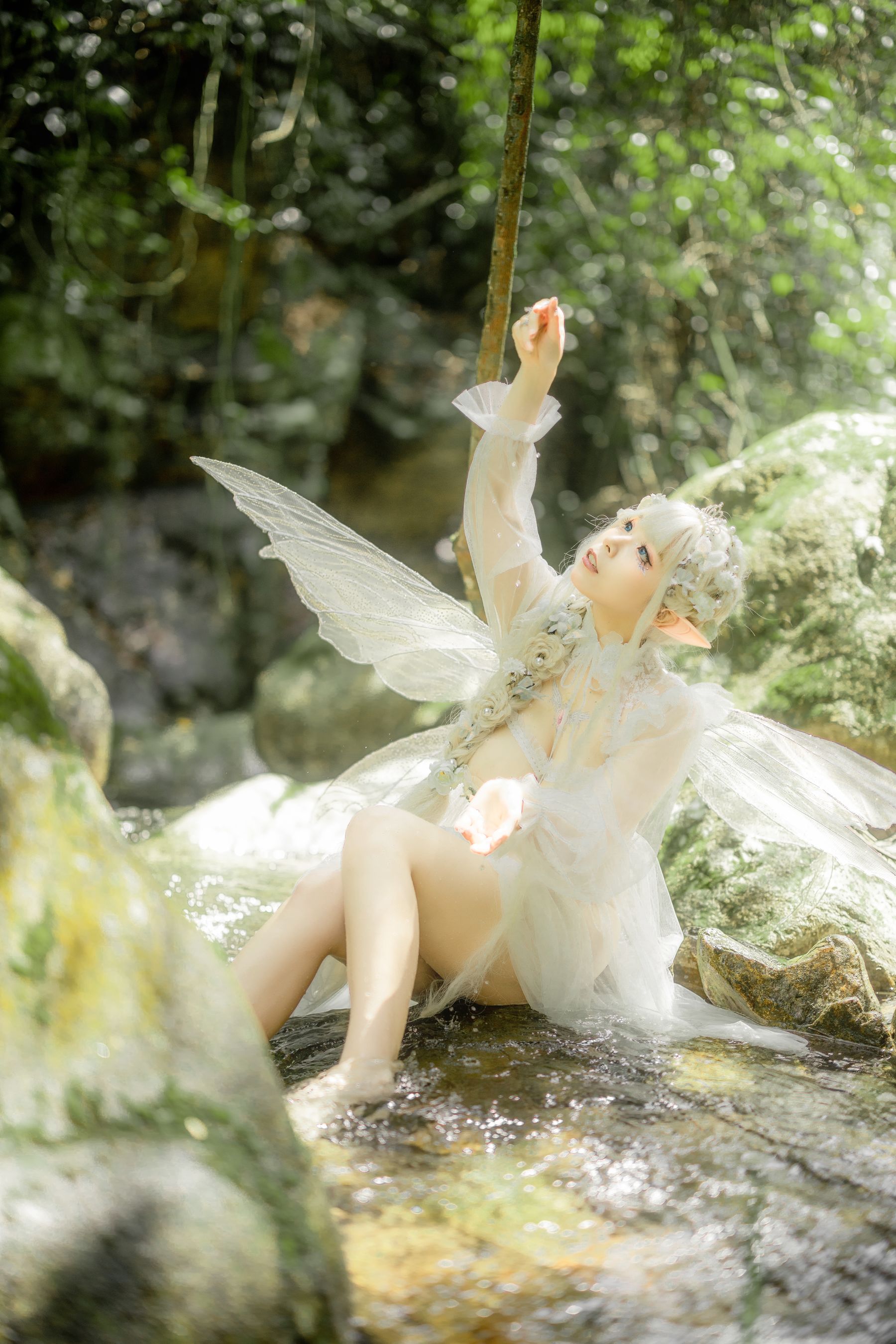 [福利COS] 自闭颜球球(无颜小天使wy) - 林中精灵