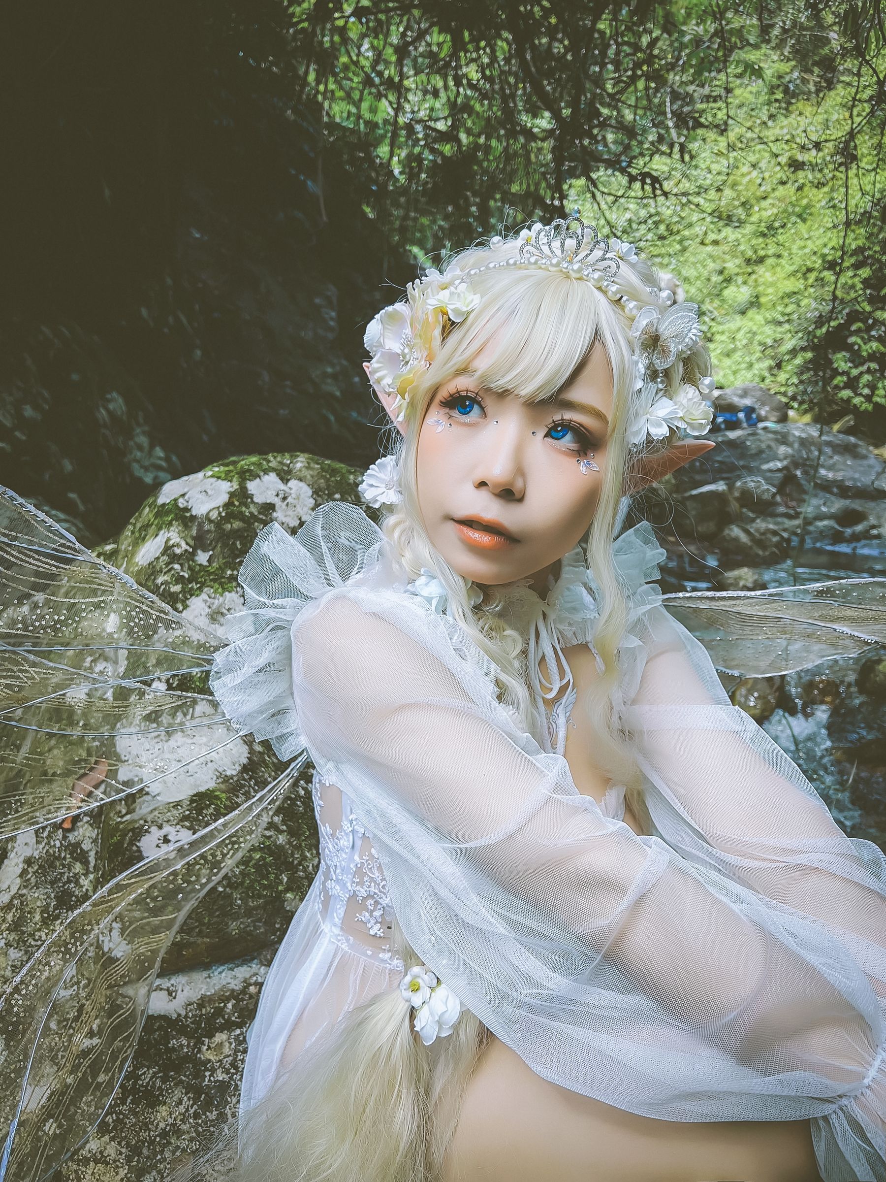 [福利COS] 自闭颜球球(无颜小天使wy) - 林中精灵