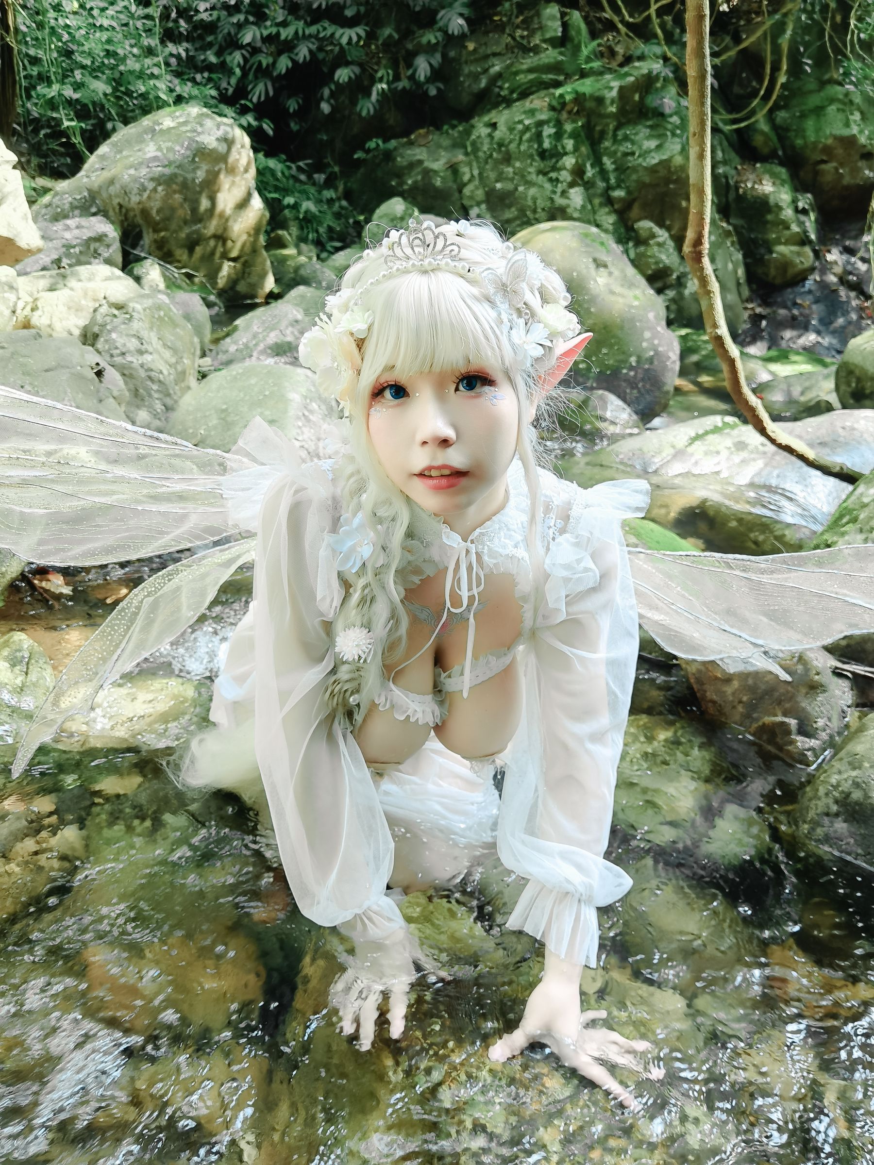 [福利COS] 自闭颜球球(无颜小天使wy) - 林中精灵