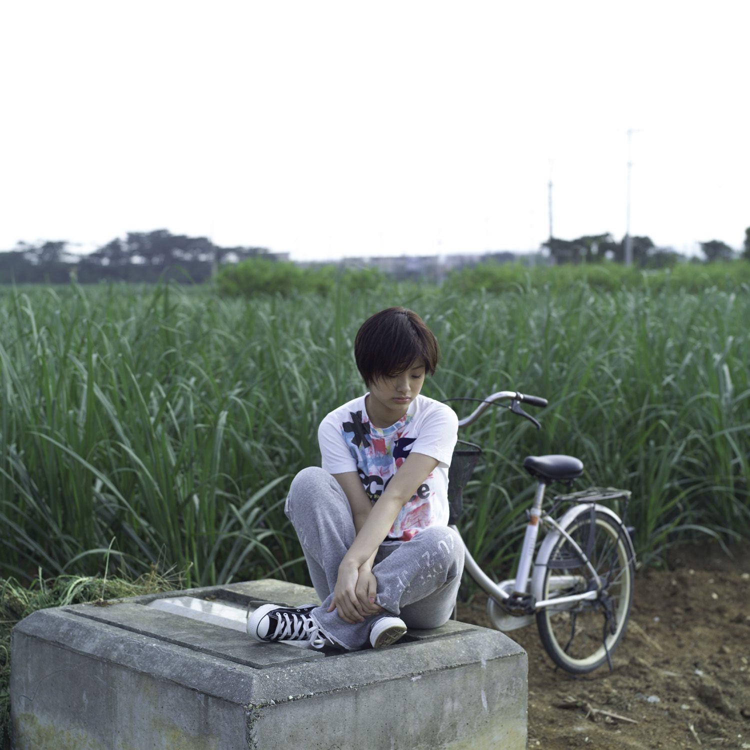 [NS Eyes] SF-No.241 Aya Ueto 上户彩/上戸彩