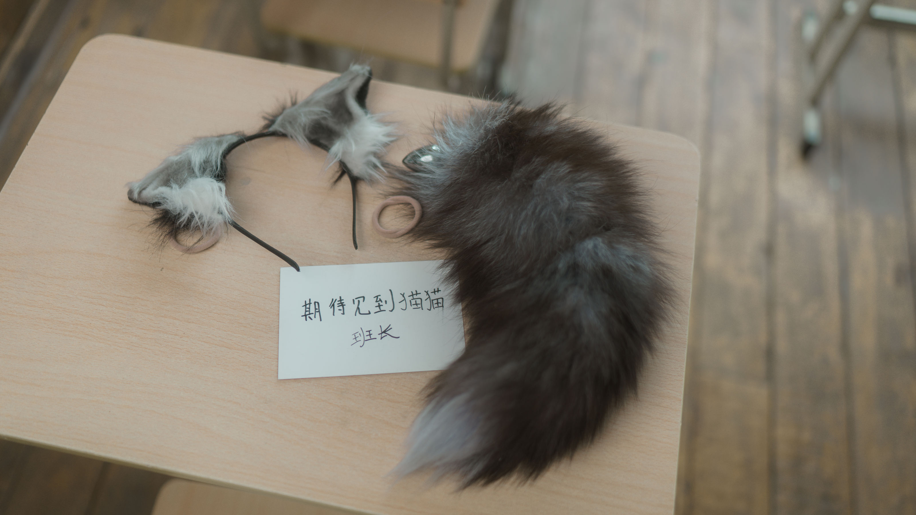 [福利COS] 西园寺南歌写真 - 与班长的游戏