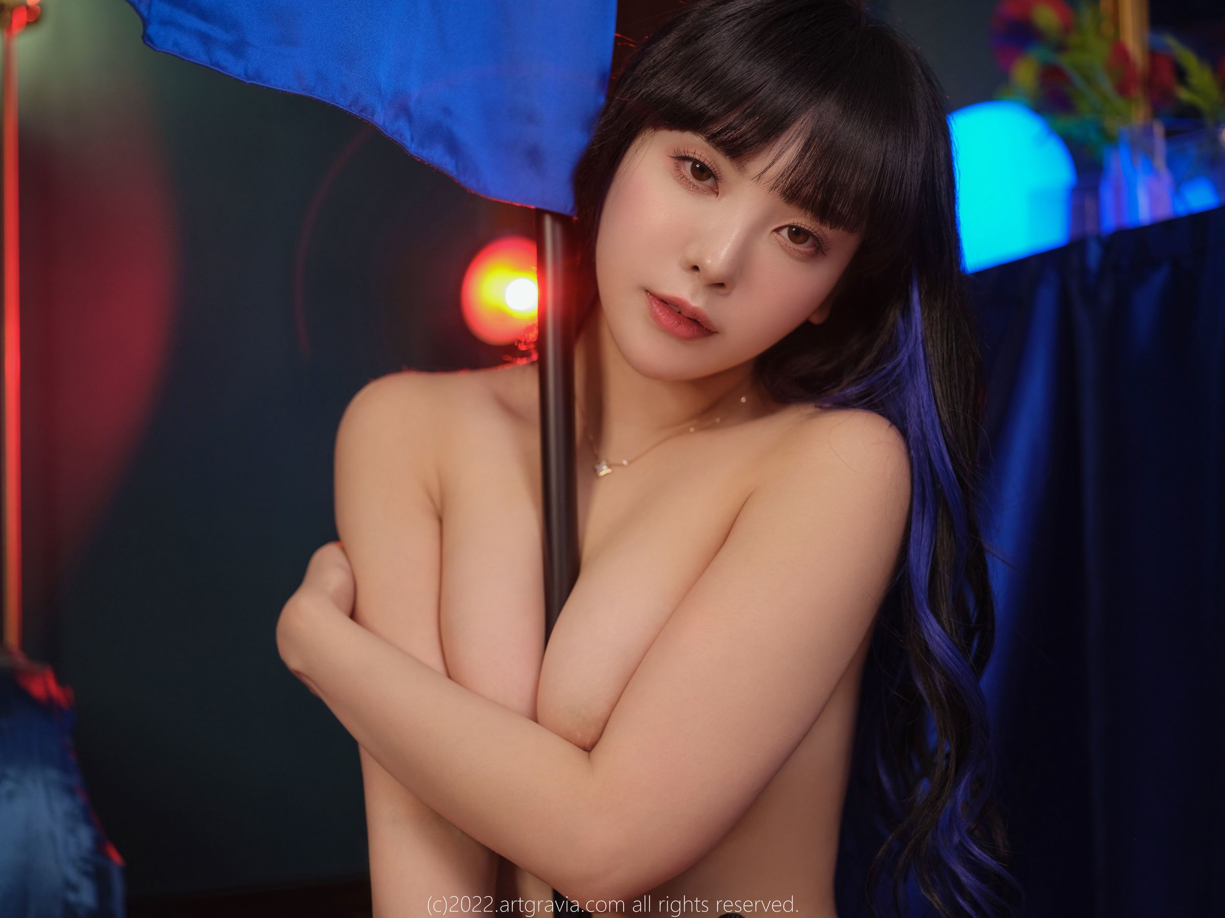 [ARTGRAVIA] VOL.442 Dami