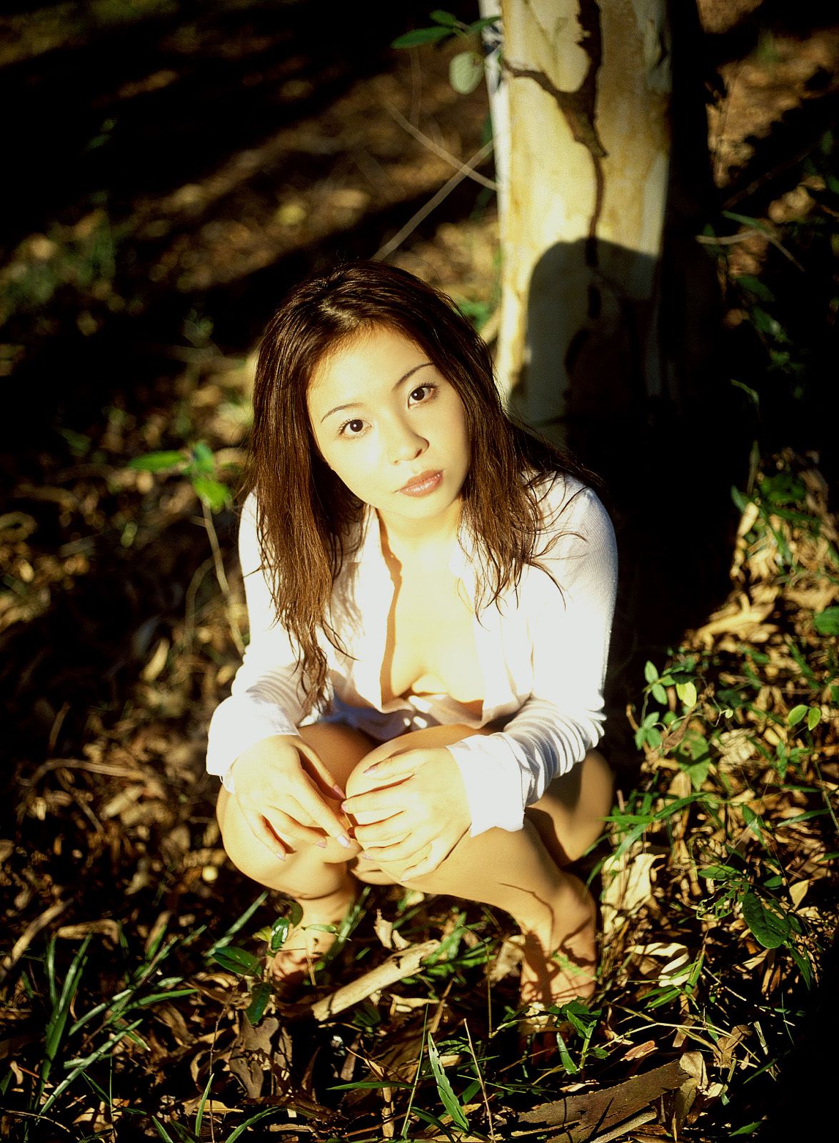 [NS Eyes] SF-No.245 Yinling of Joy Toy 垠凌/インリン