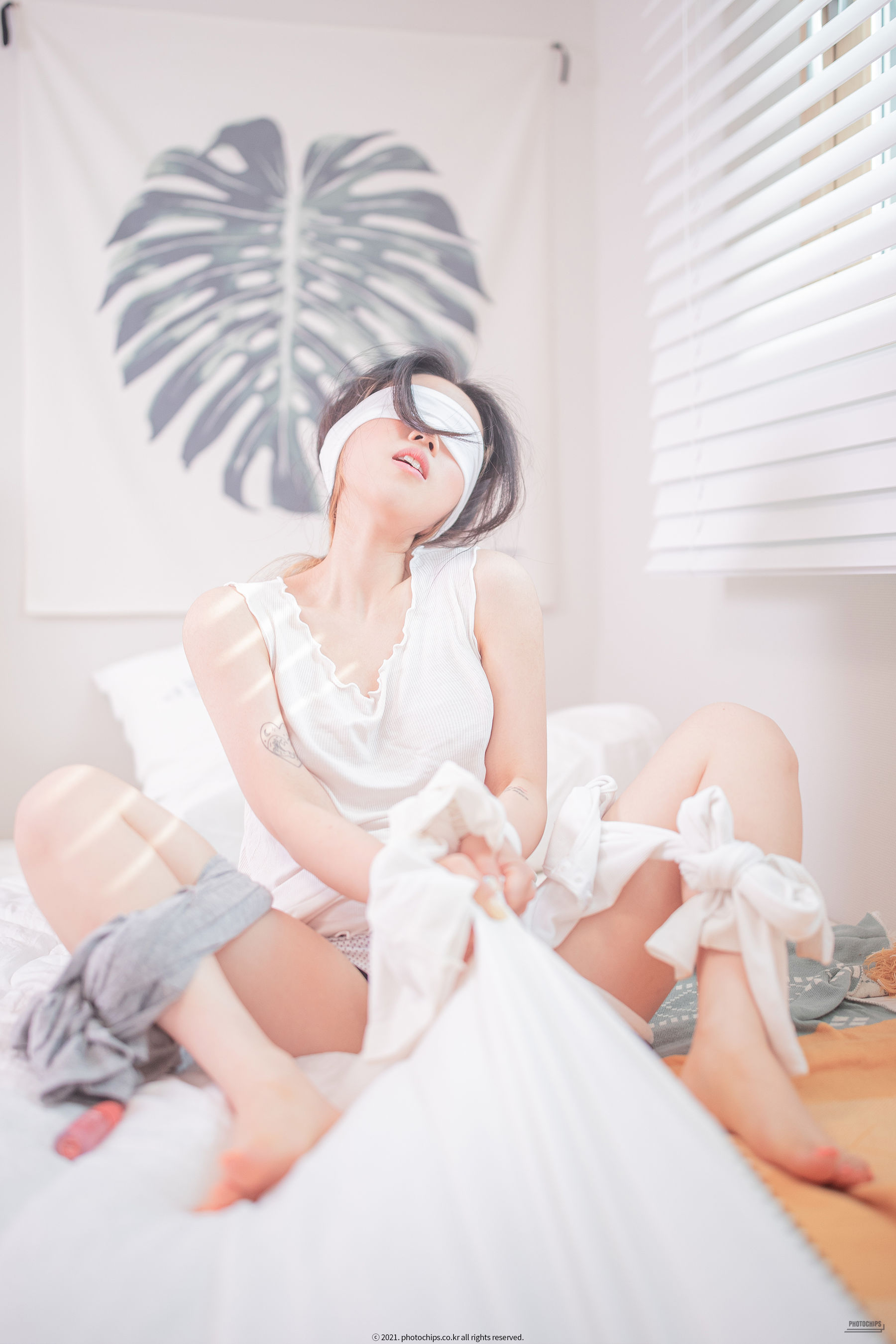 [Photochips] Vol.100 – No.11 Dami