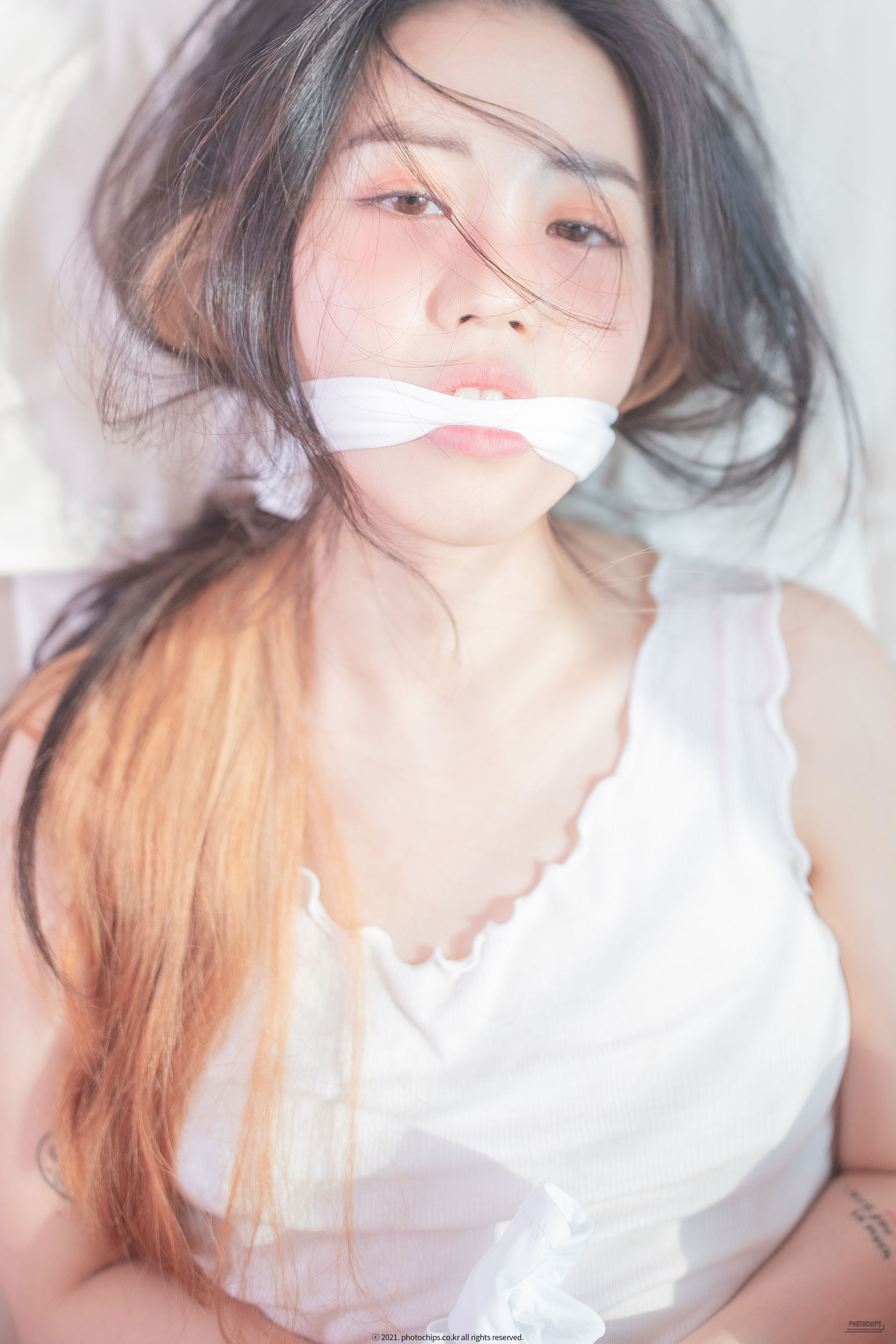[Photochips] Vol.100 – No.11 Dami