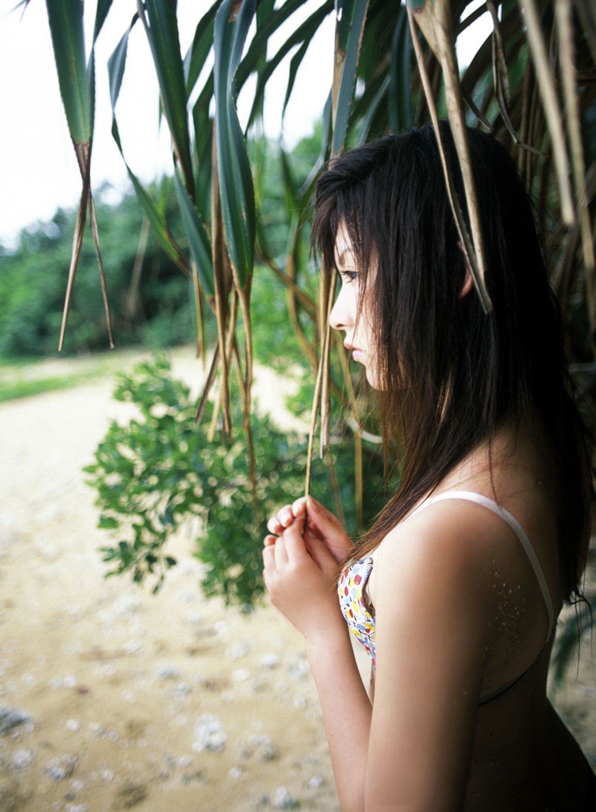 [NS Eyes] SF-No.305 Chikako Sakuragi 樱木睦子 -UNDERAGE!