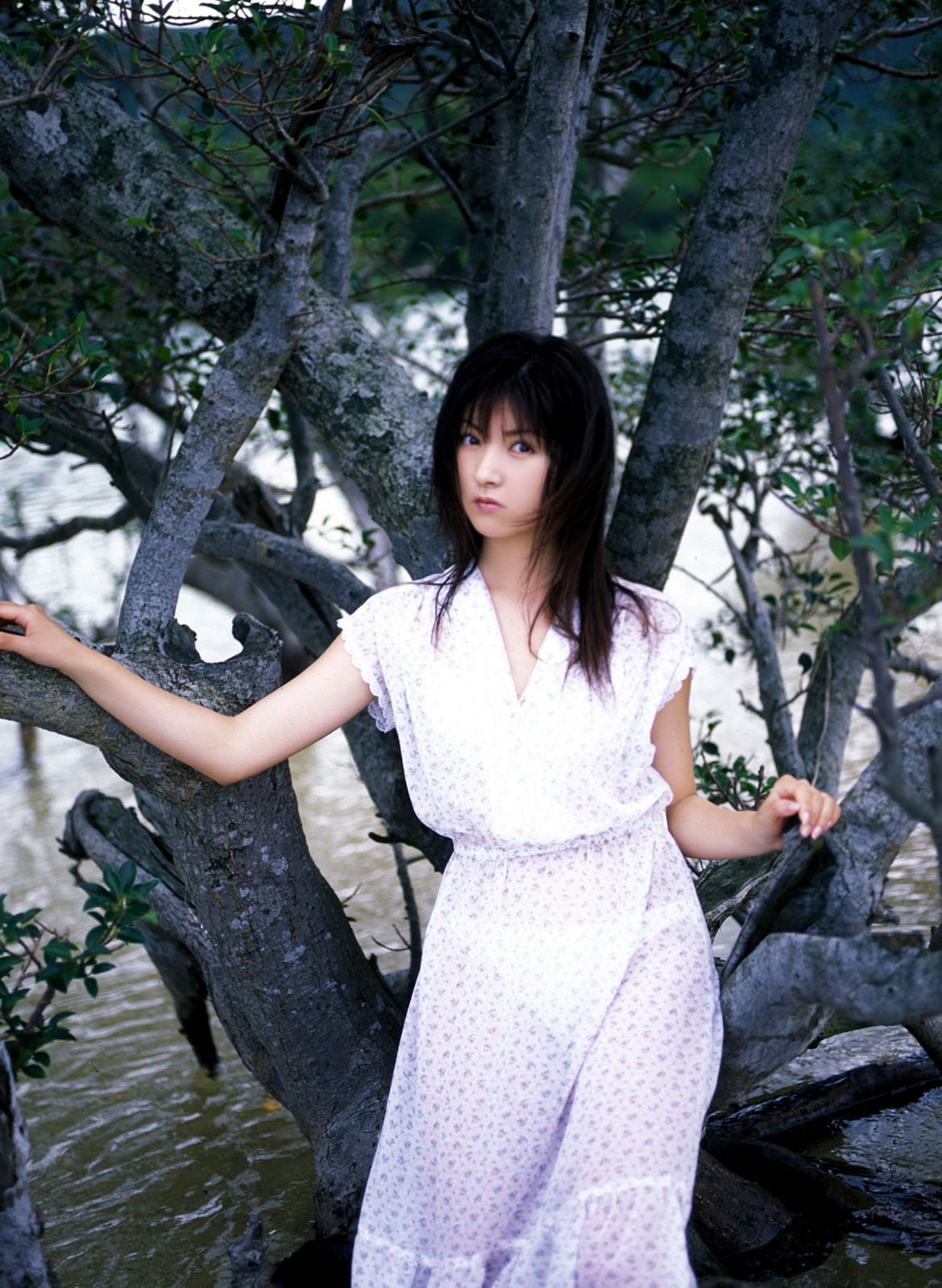 [NS Eyes] SF-No.305 Chikako Sakuragi 樱木睦子 -UNDERAGE!