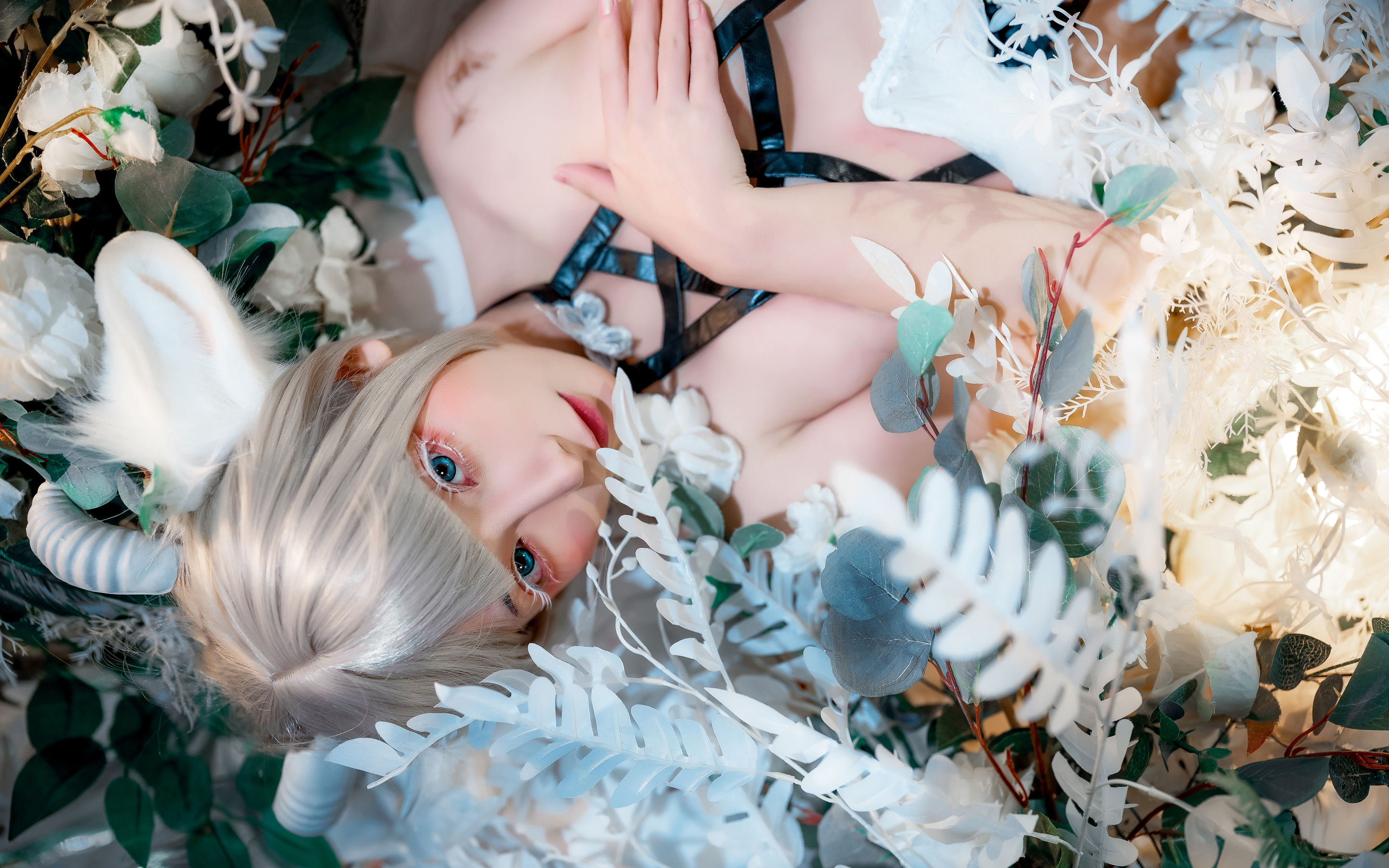 [福利COS] 是三不是世w - 羊羊