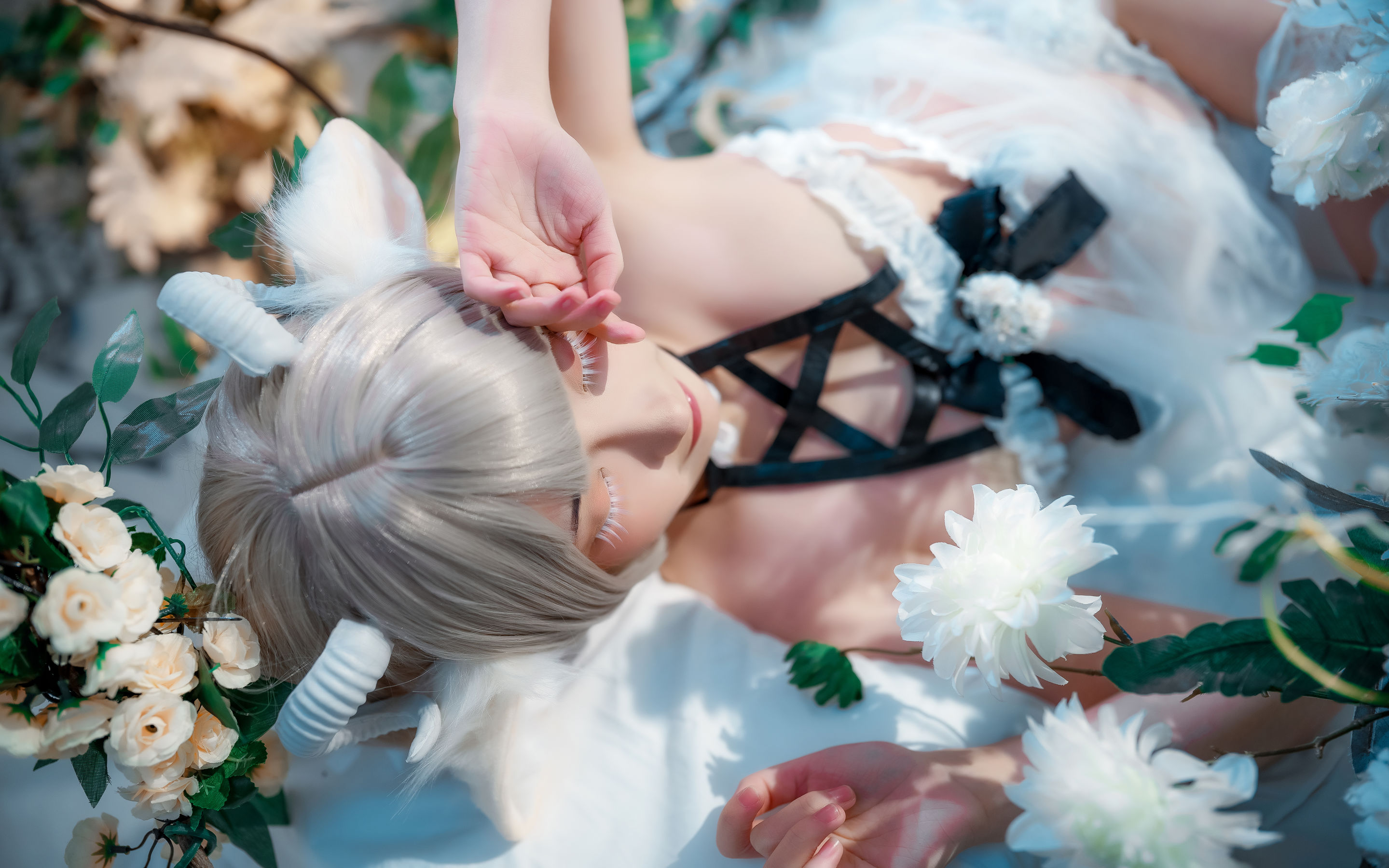 [福利COS] 是三不是世w - 羊羊