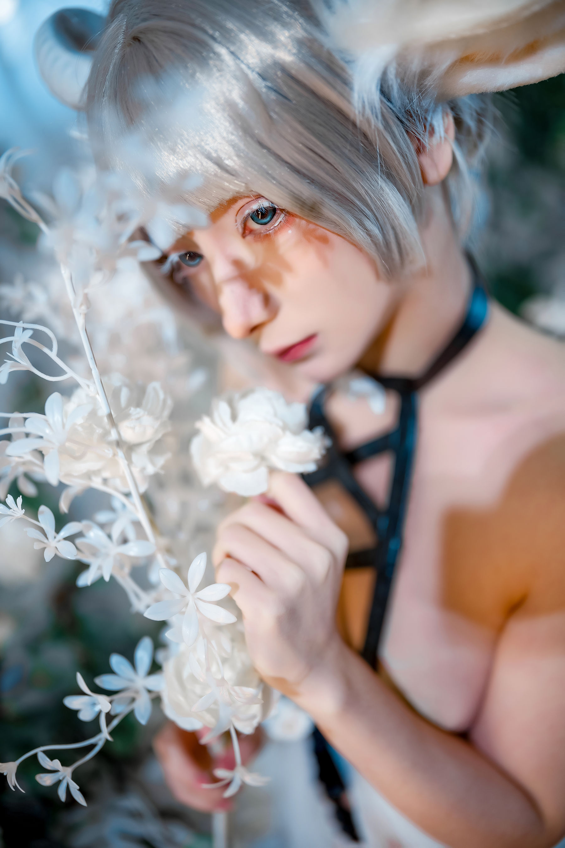 [福利COS] 是三不是世w - 羊羊