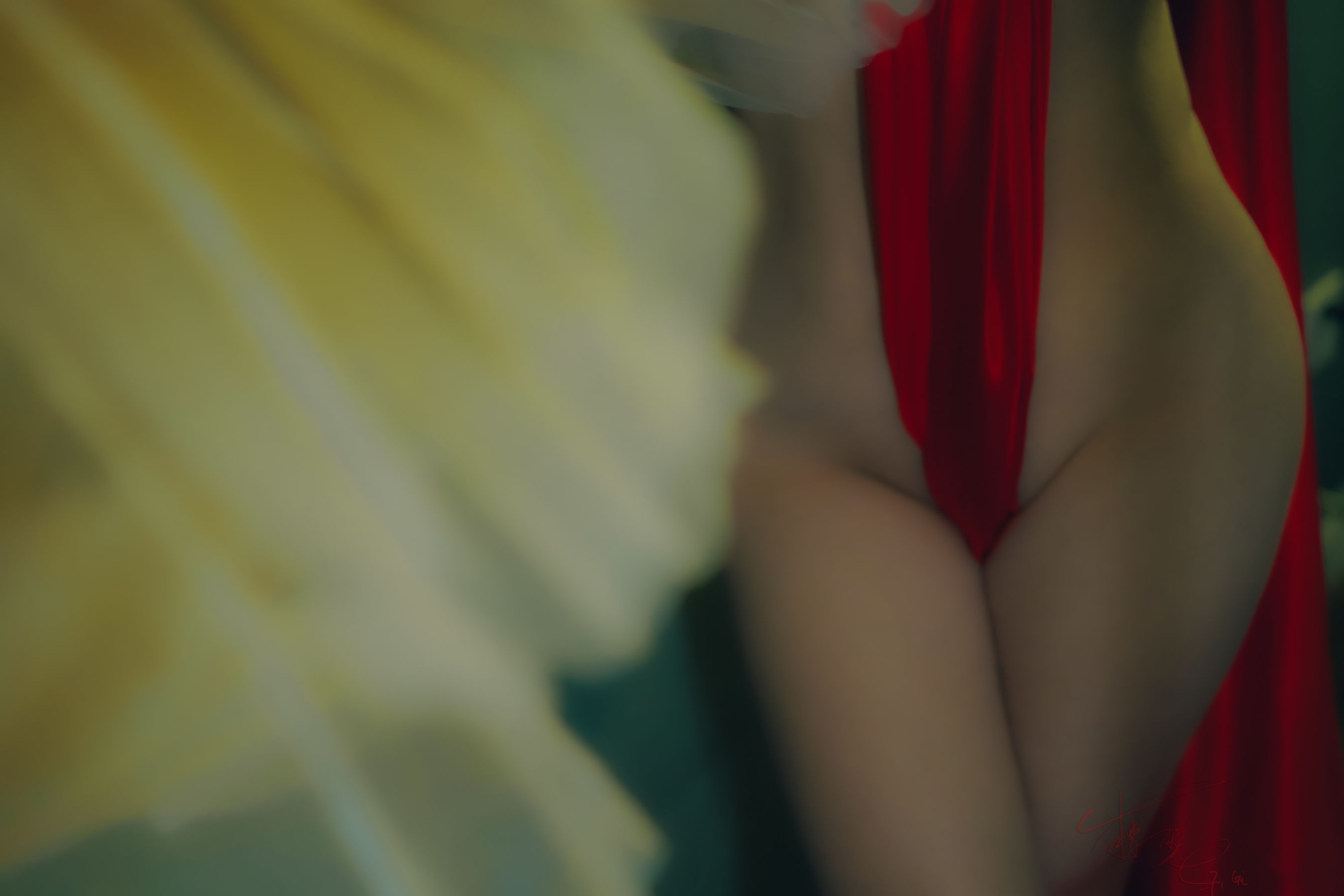 [福利COS] 网络红人樱晚gigi - 春.染