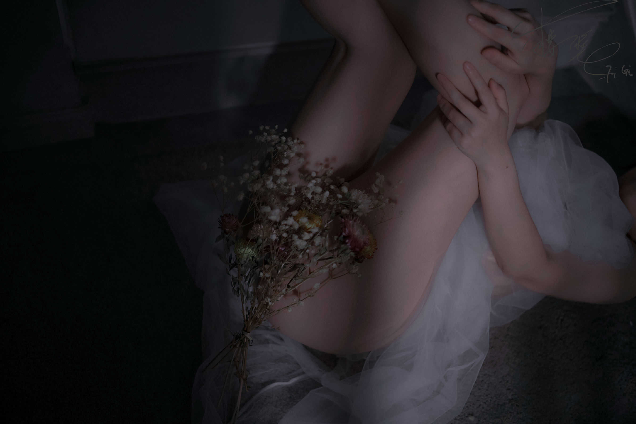 [福利COS] 网络红人樱晚gigi - 月光