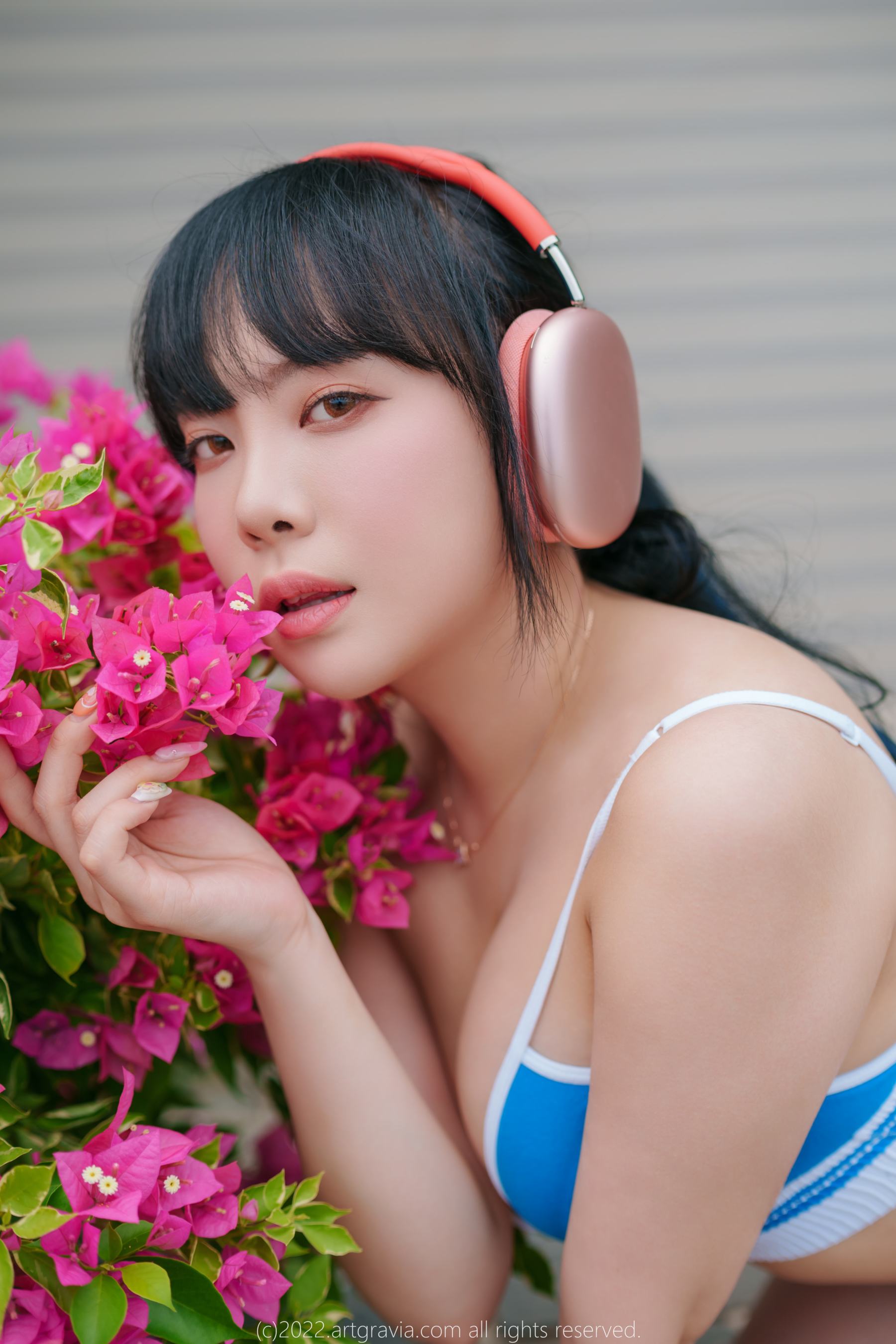 [ARTGRAVIA] VOL.455 Dami