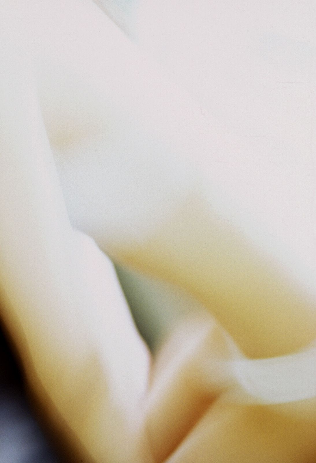 [NS Eyes] SF-No.327 Saki 沙季