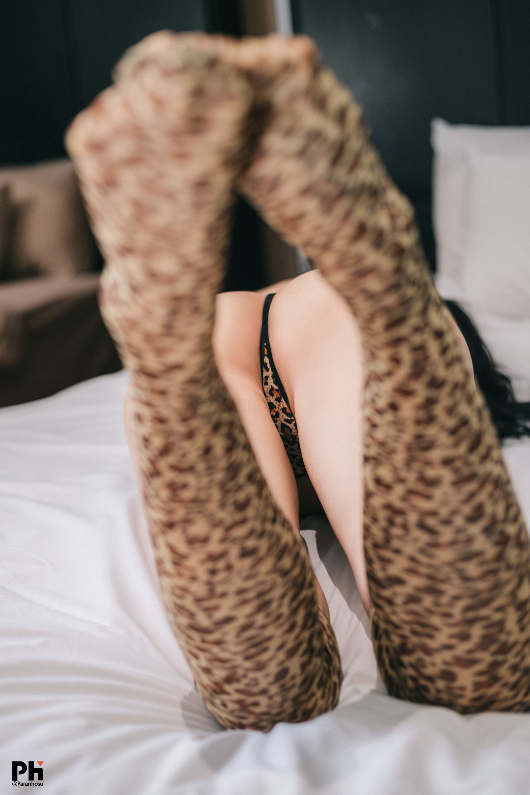 [Paranhosu]  Sia - Leopard
