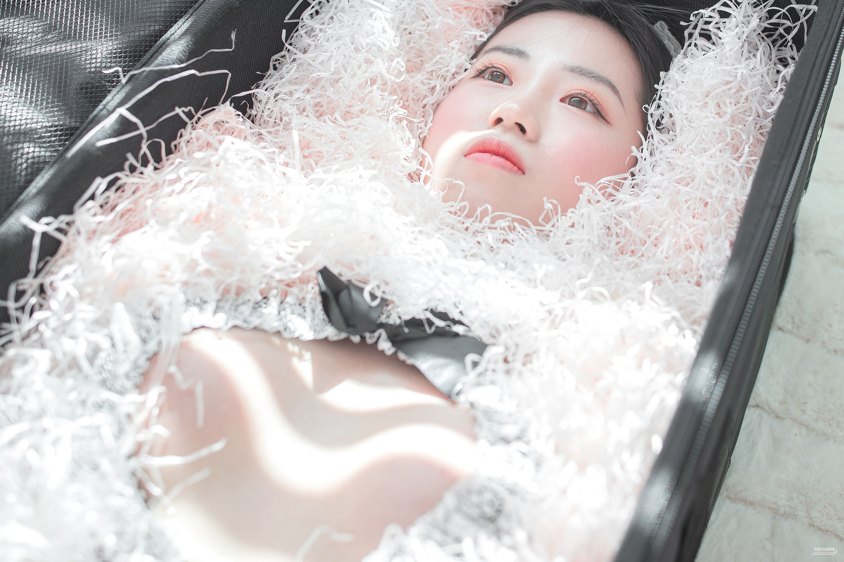 [Photochips] Vol.109 - Dami No.13