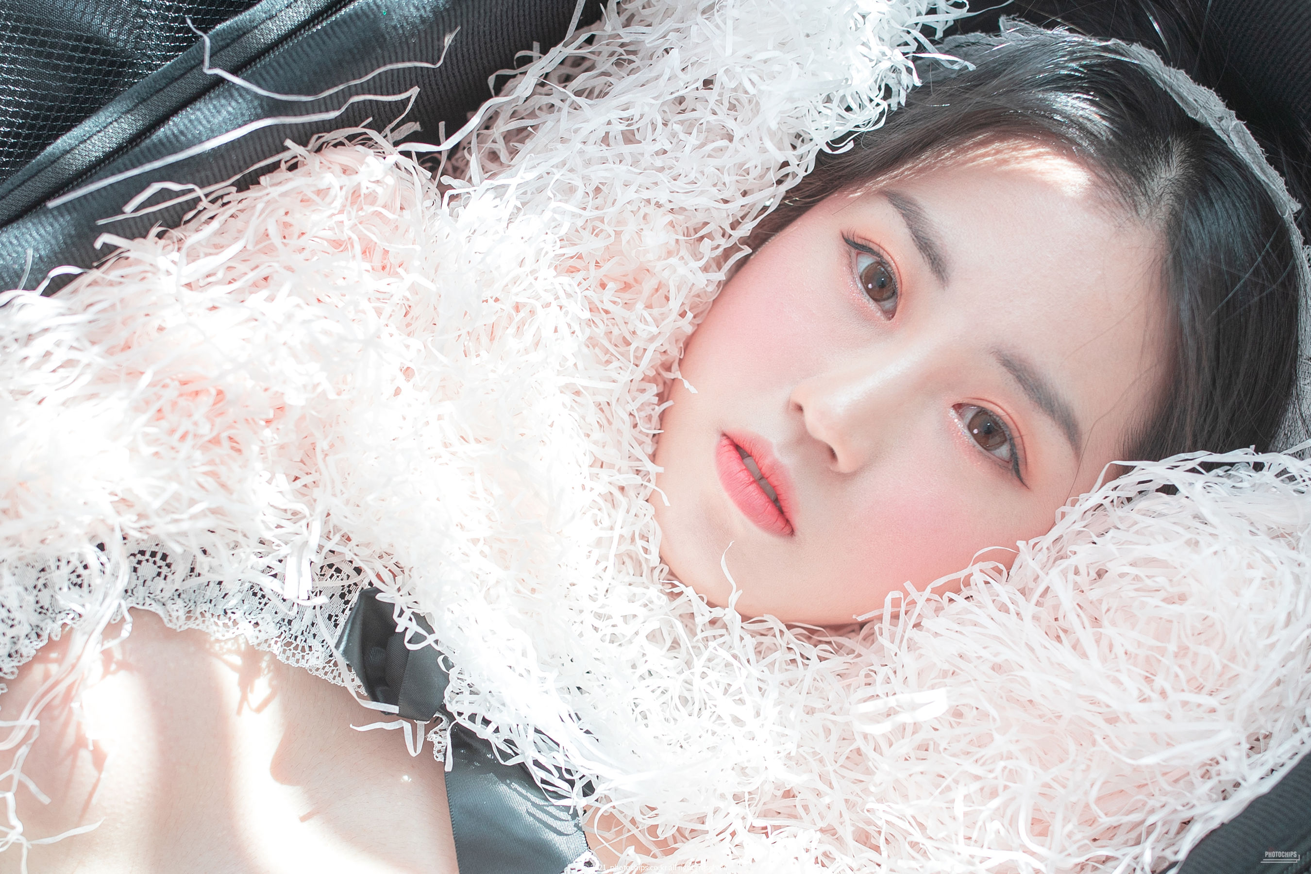 [Photochips] Vol.109 - Dami No.13