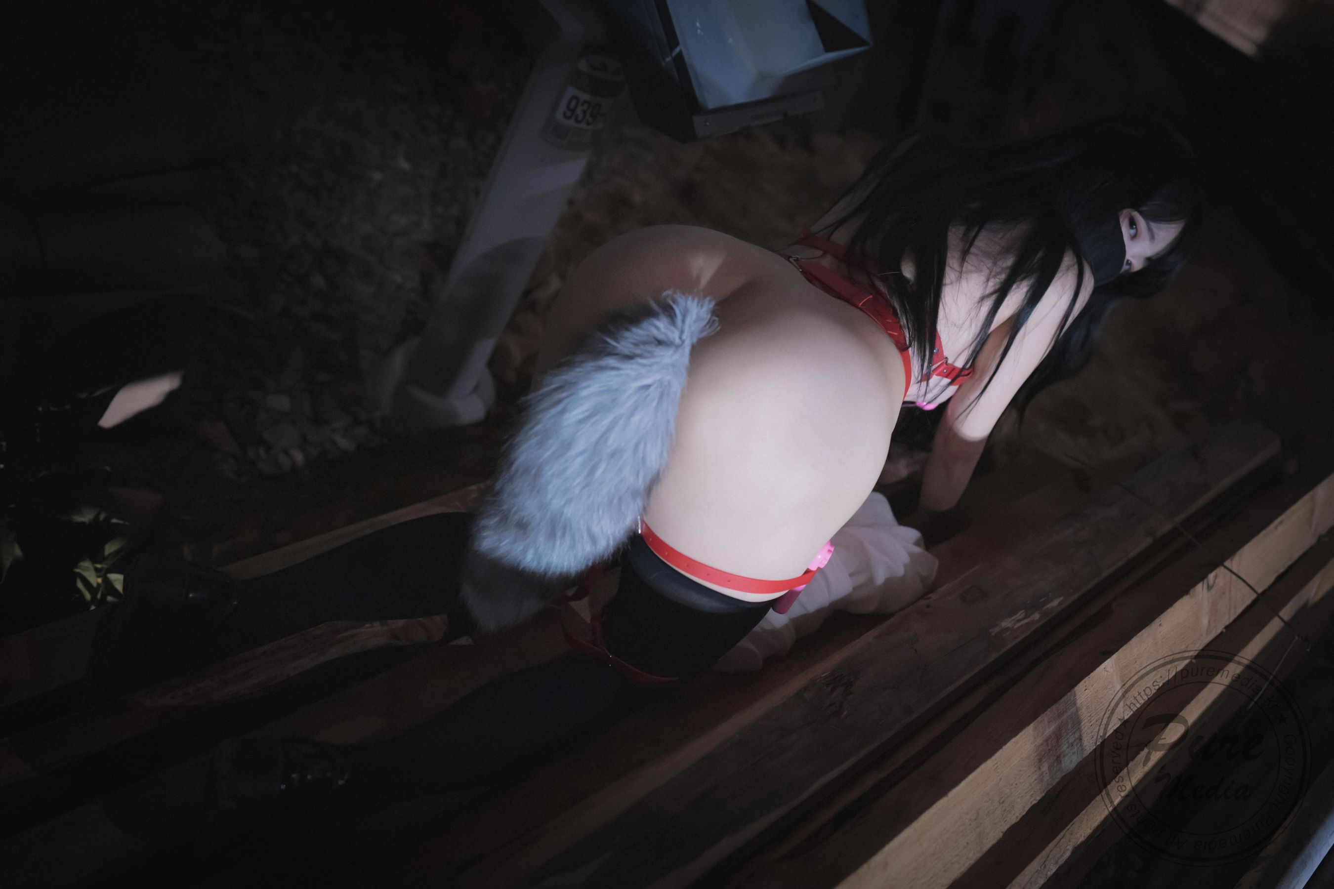 [PURE MEDIA] Vol.205 - Aram