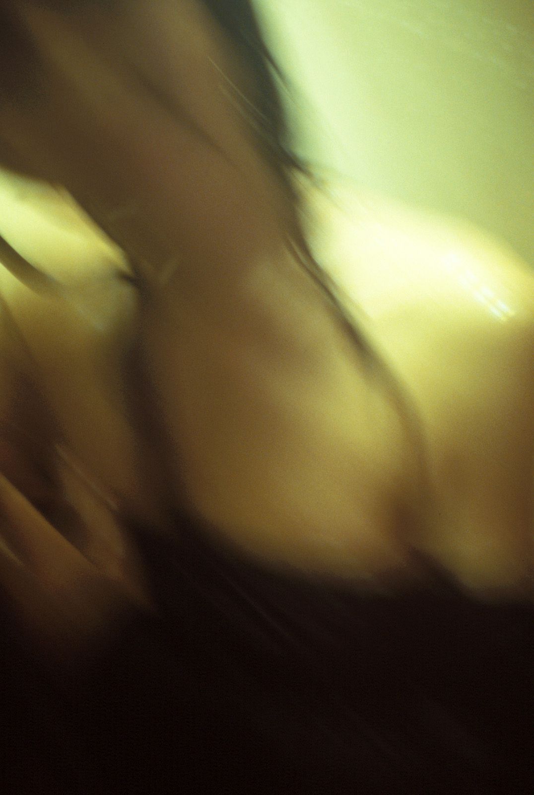 [NS Eyes] SF-No.343 Toshimi Horiguchi 堀口俊美