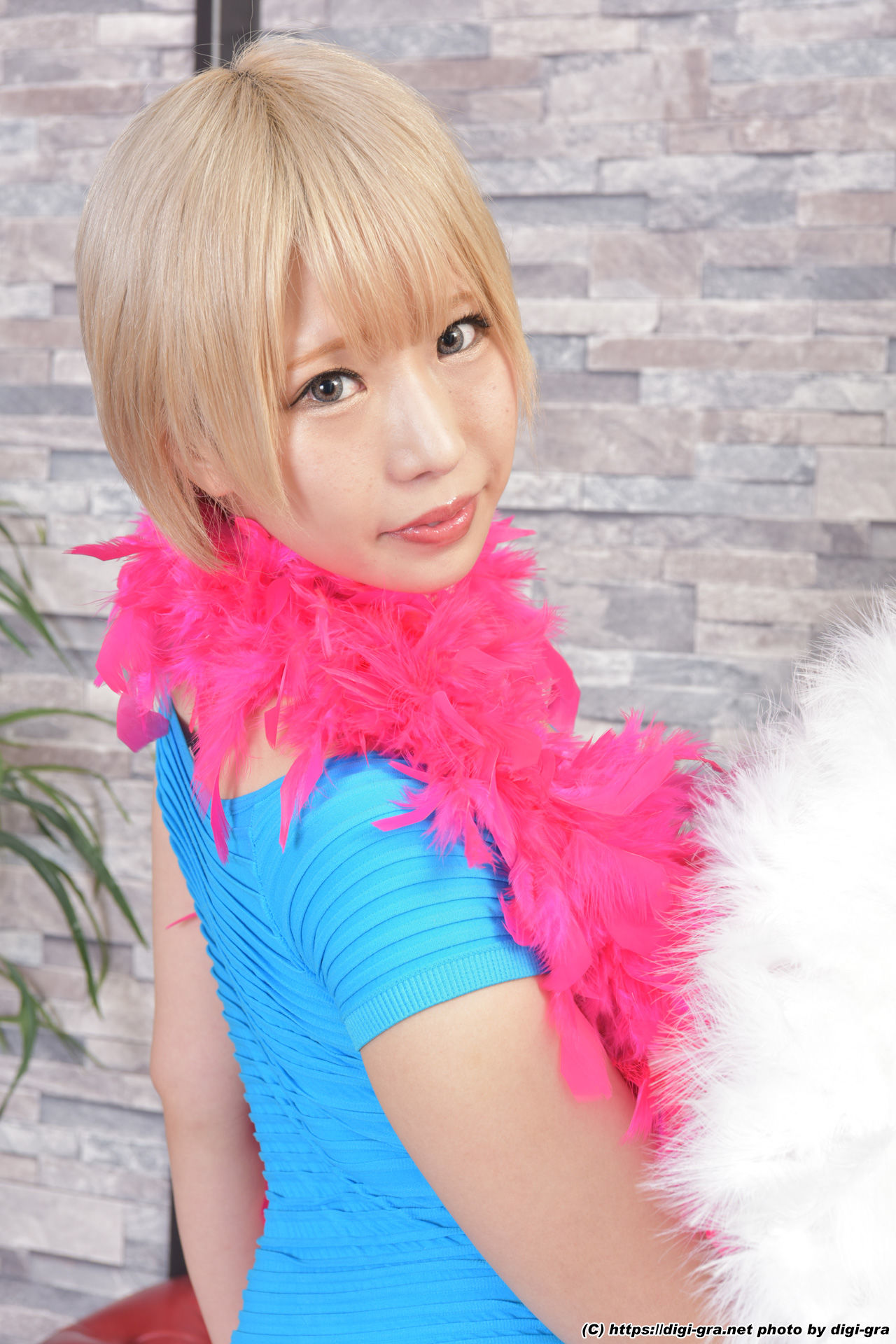 [Digi-Gra] Arisu Otsu 乙アリス Photoset 02