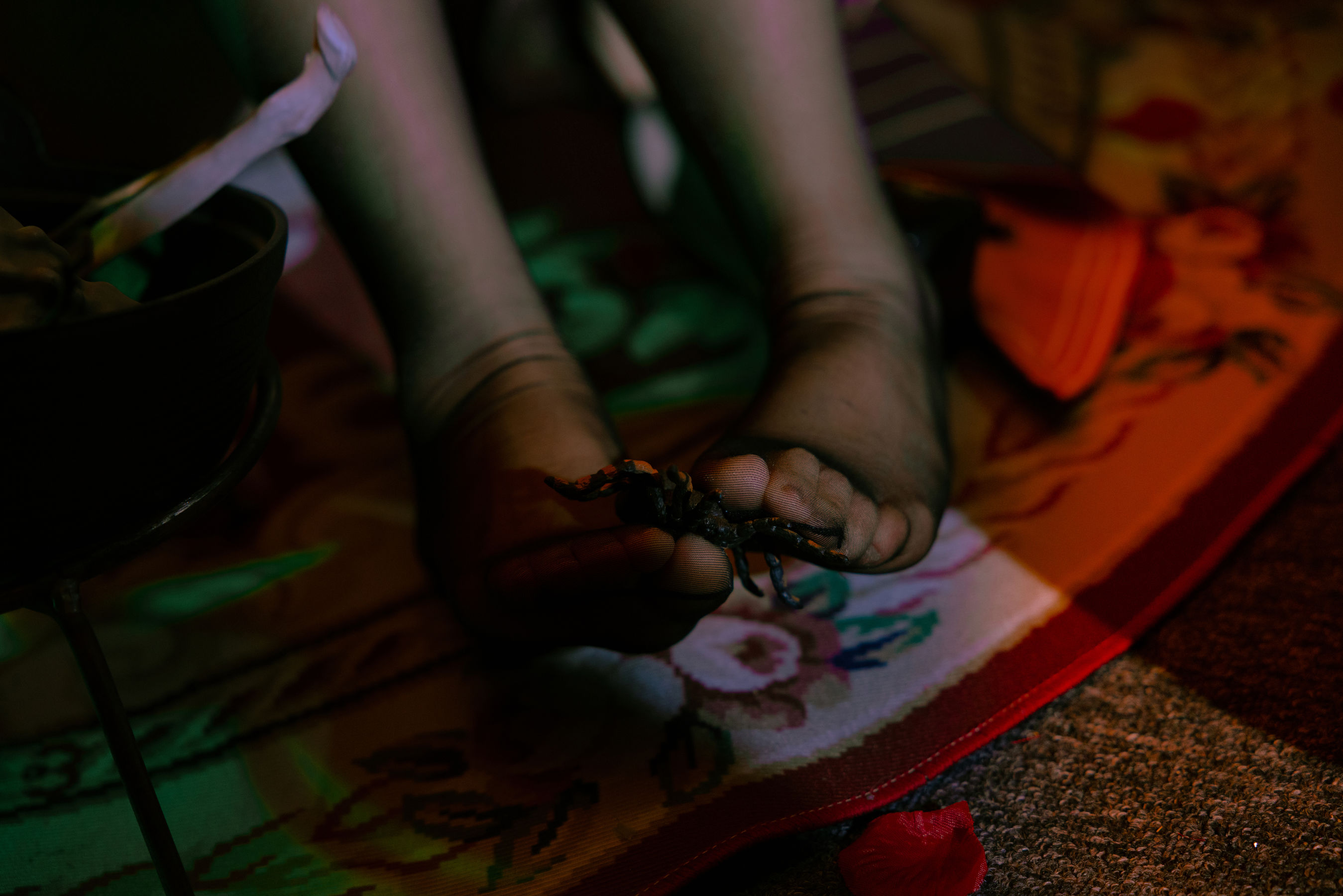 [福利COS] Cosplay日奈娇 - 孟菲斯
