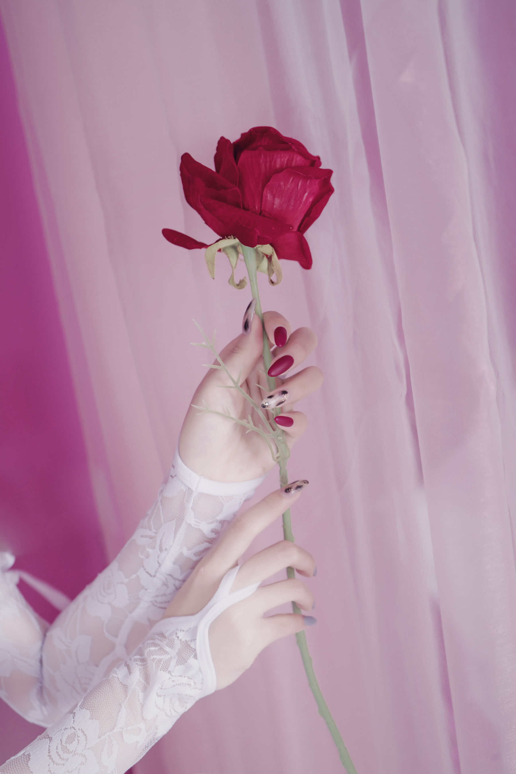 [福利COS] eloise软软 - 入水蕾丝