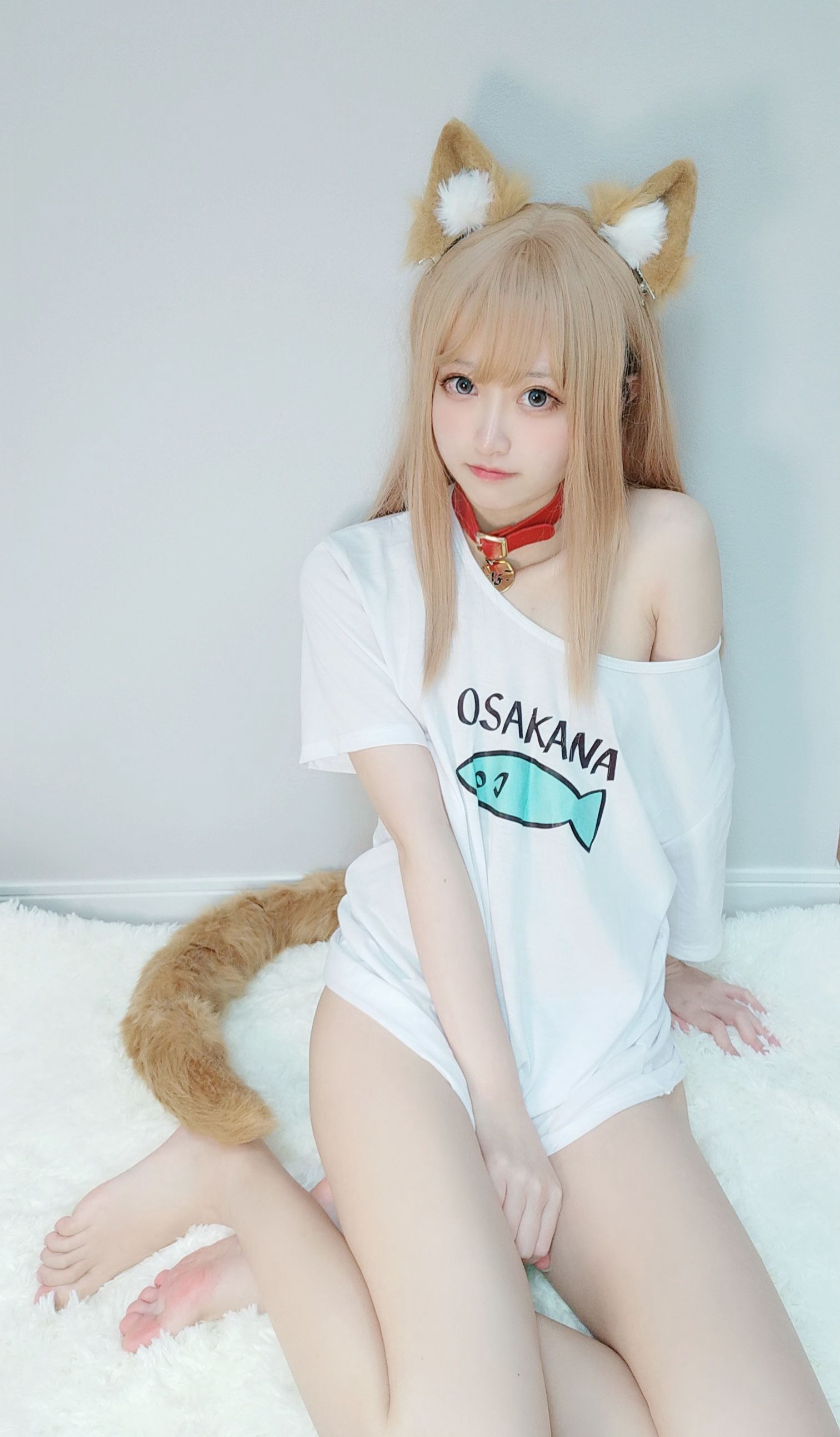 [福利COS] 千阳(ちよ) - 40原设猫猫