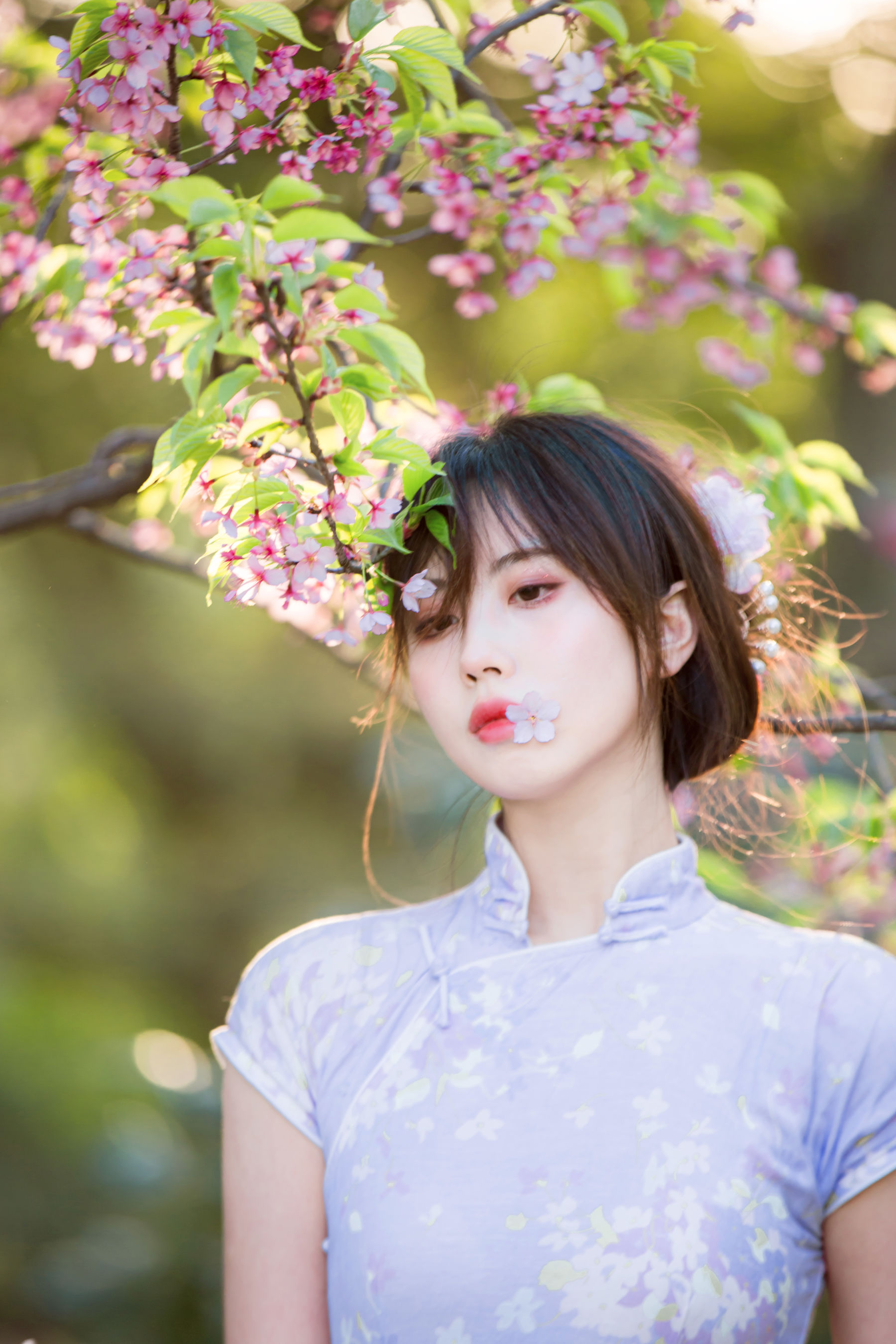 [福利COS] 次元少女念雪ww - 旗袍