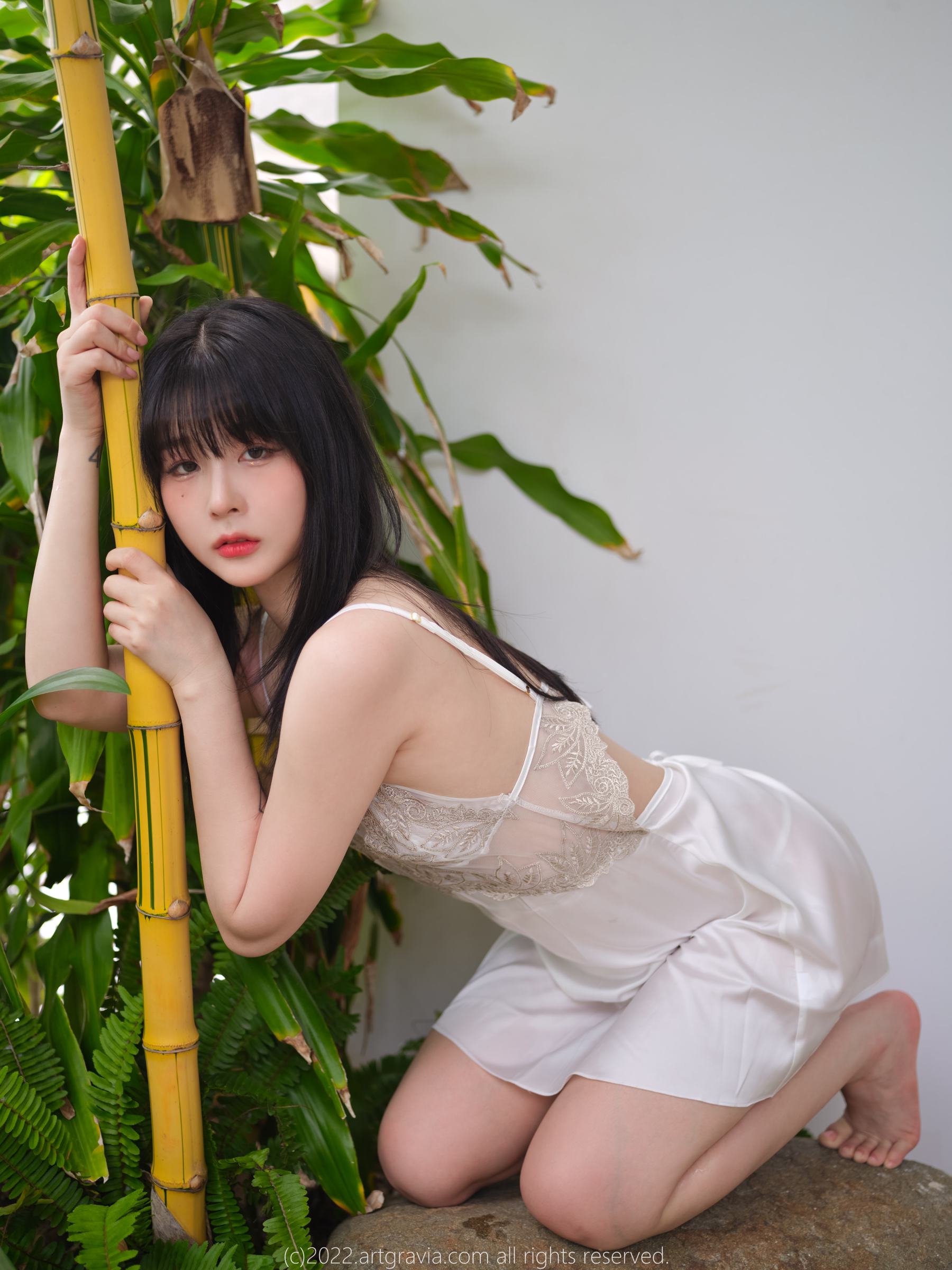[ARTGRAVIA] VOL.454 JangJoo