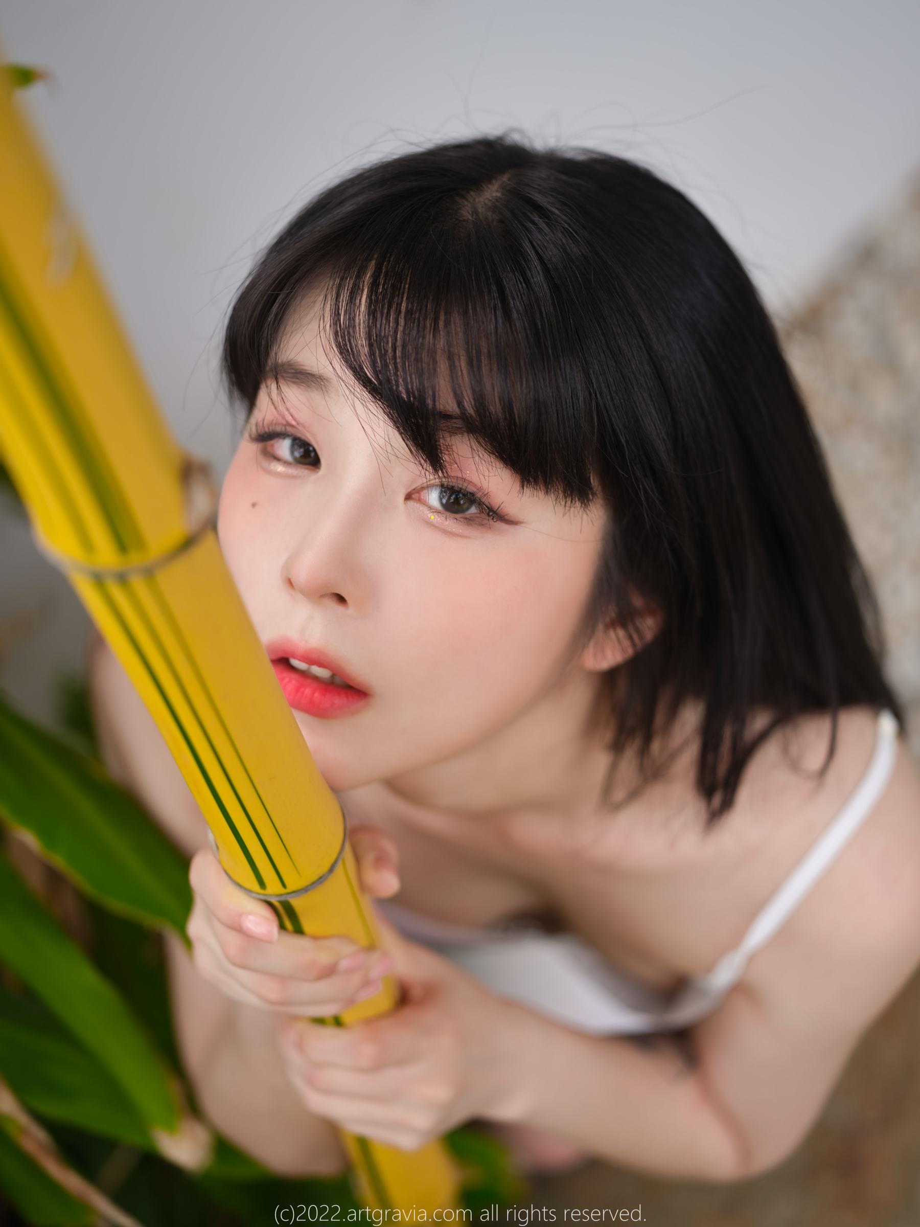 [ARTGRAVIA] VOL.454 JangJoo