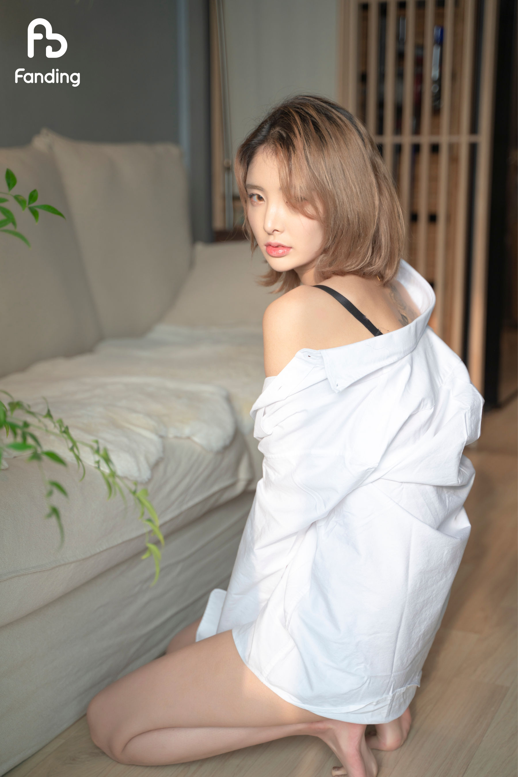 [Fanding] GF Yeon