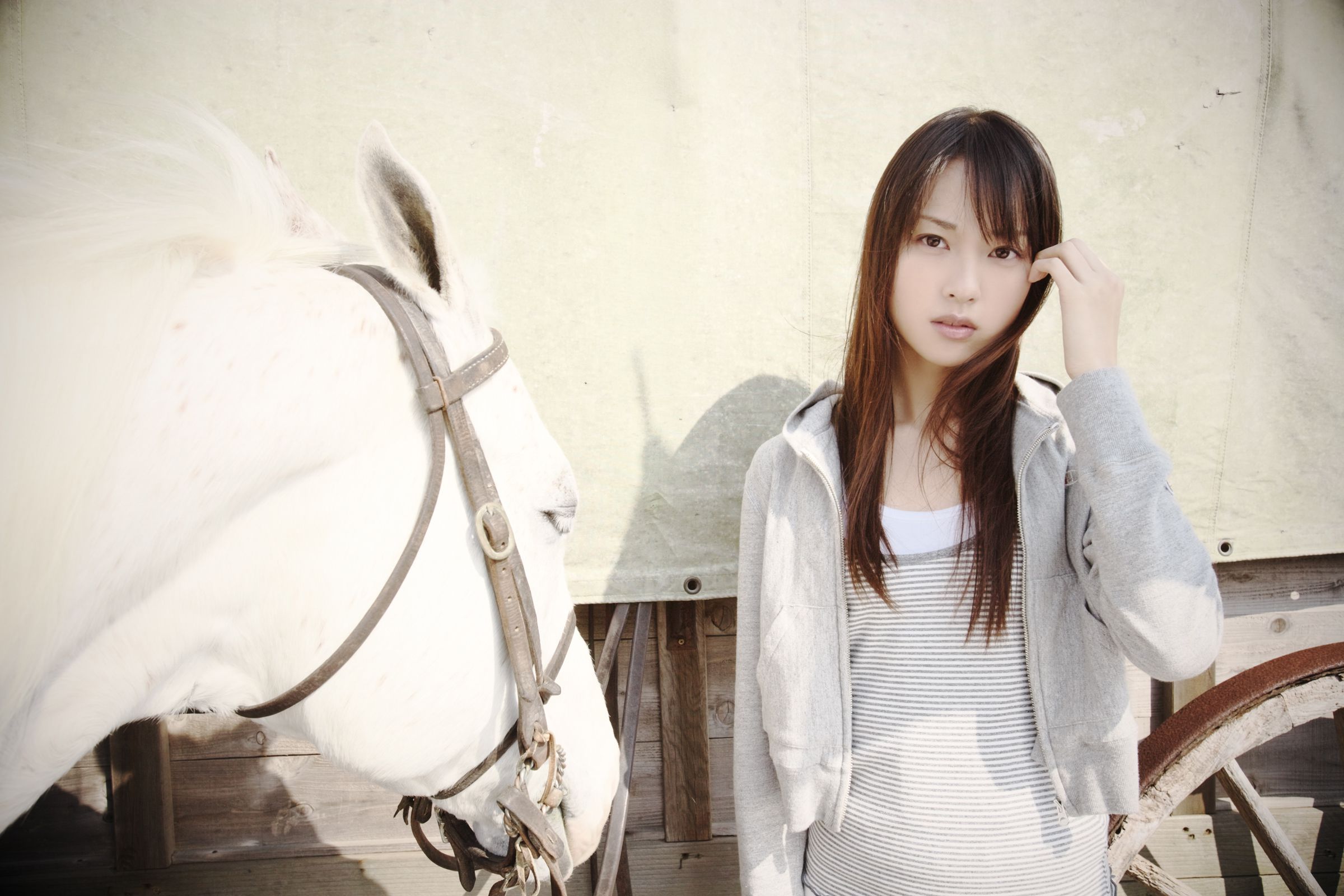[NS Eyes] SF-No.449 Erika Toda 戸田恵梨香/户田惠梨香