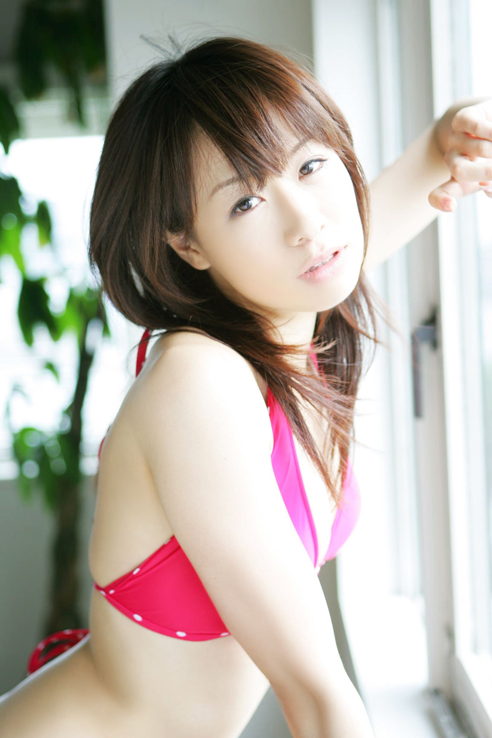 [NS Eyes] SF-No.460 Gravure-Idol SP 合辑