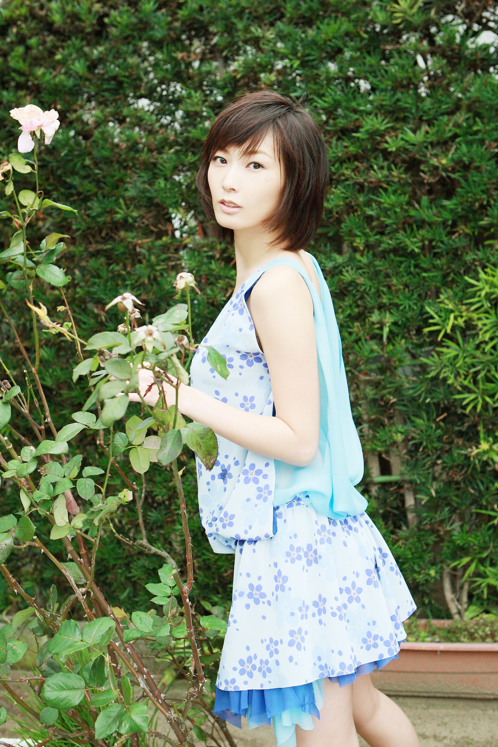 [NS Eyes] SF-No.486 Nao Nagasawa 长泽奈央/長澤奈央