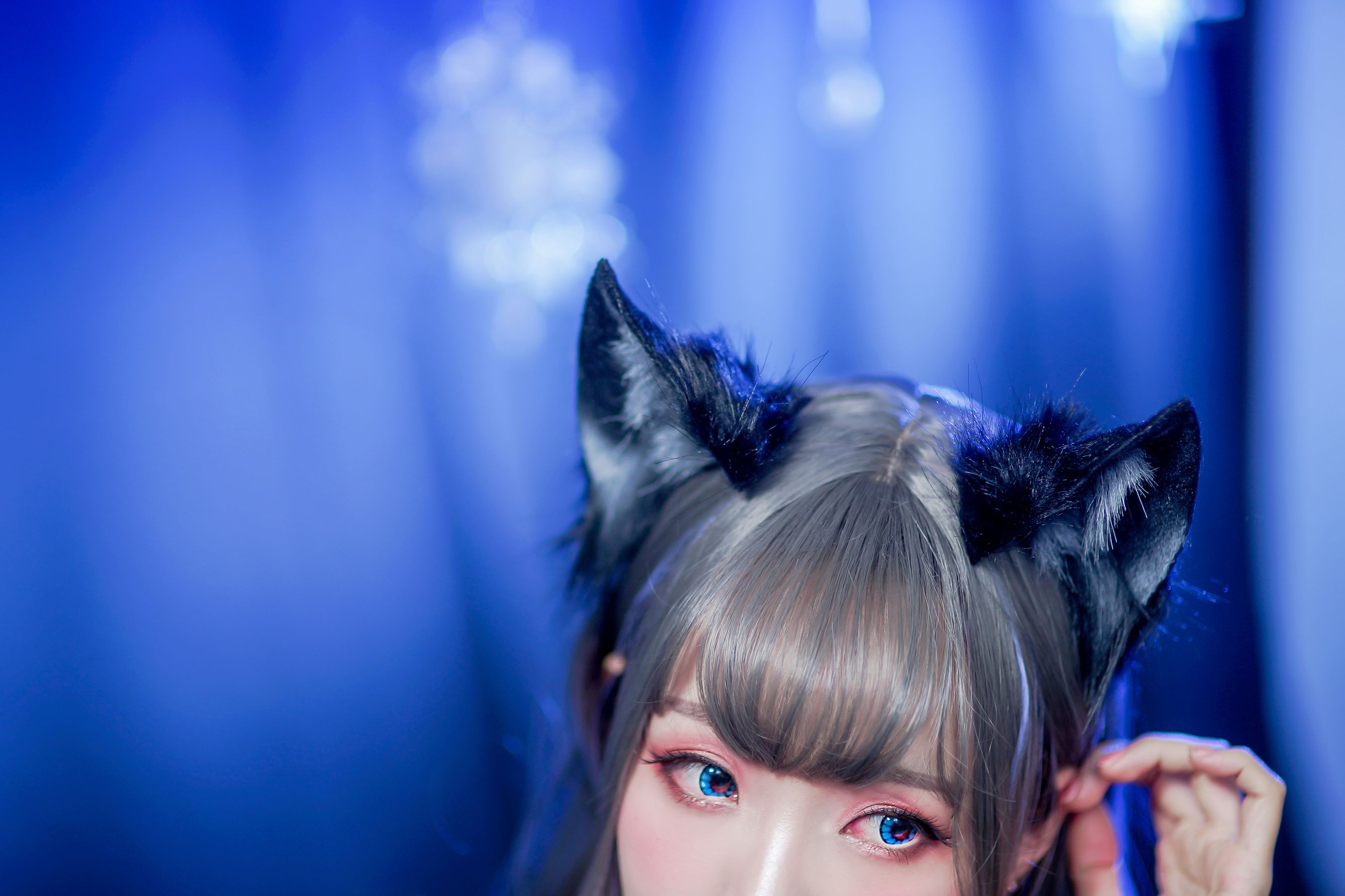 [福利COS] Ely_eee(ElyEE子) - オオカミ闇夜ーヨルちゃん