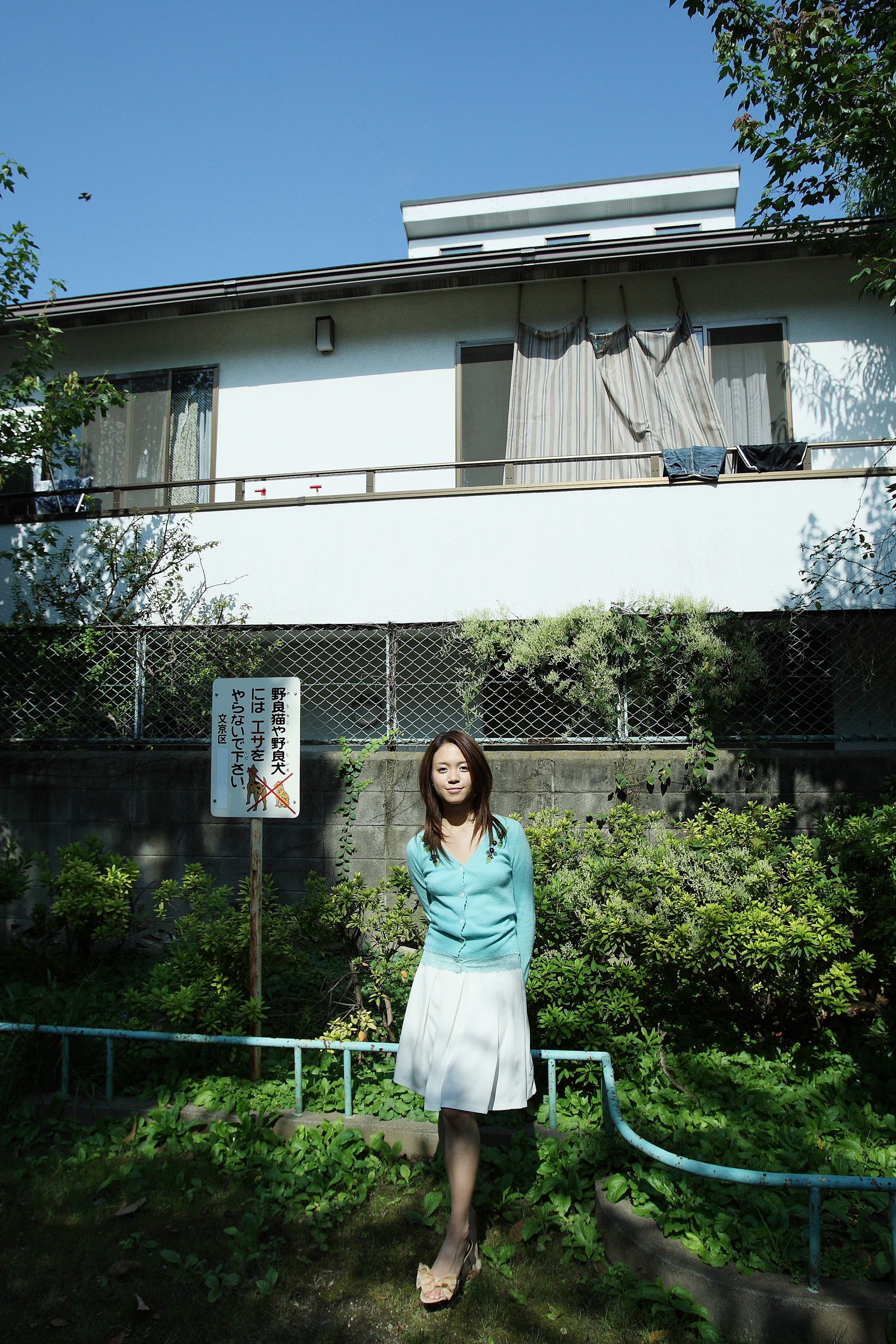 [NS Eyes] SF-No.503 Sherry Fujii 藤井雪莉/藤井シェリー