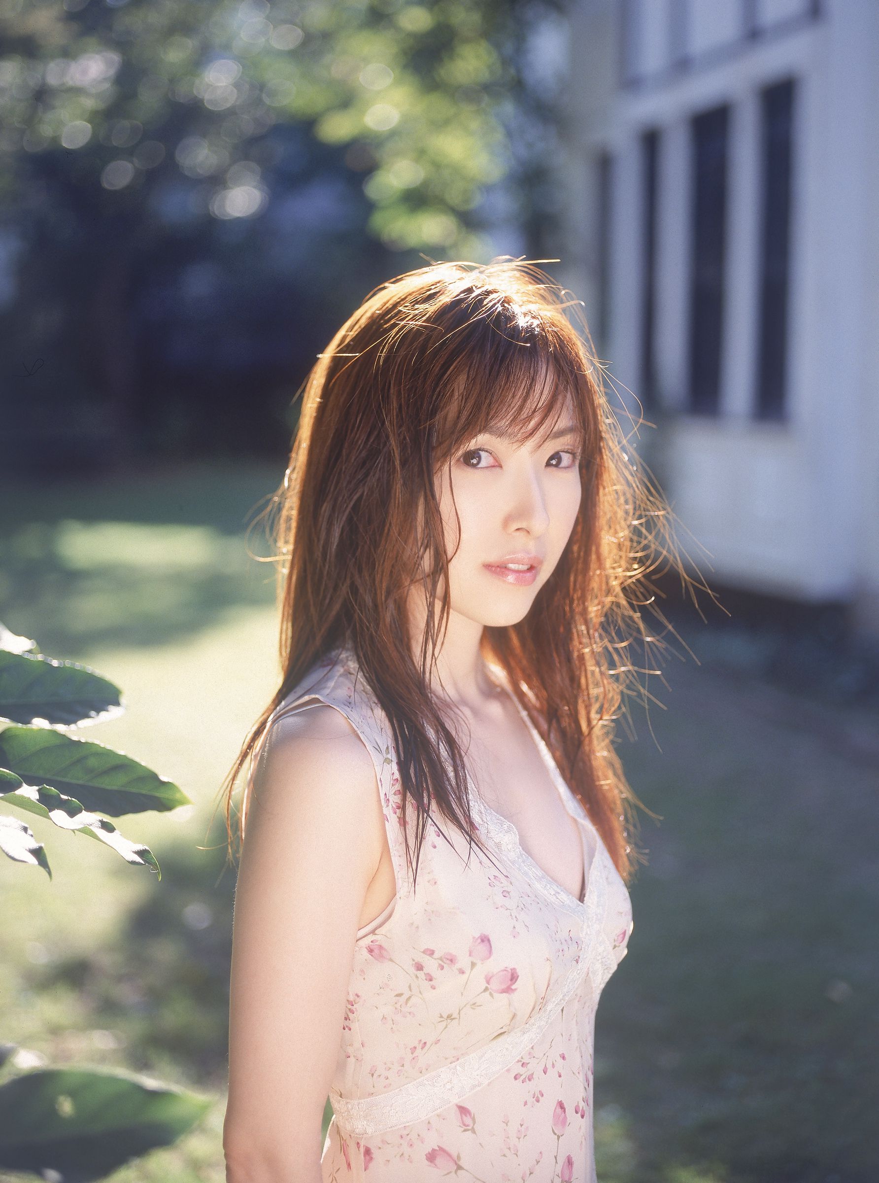 [NS Eyes] SF-No.524 Yoko Watanabe 渡边洋香/渡辺洋香