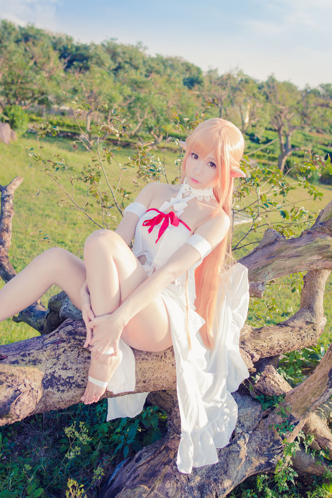 [福利COS] 白神泱 - 亚丝娜