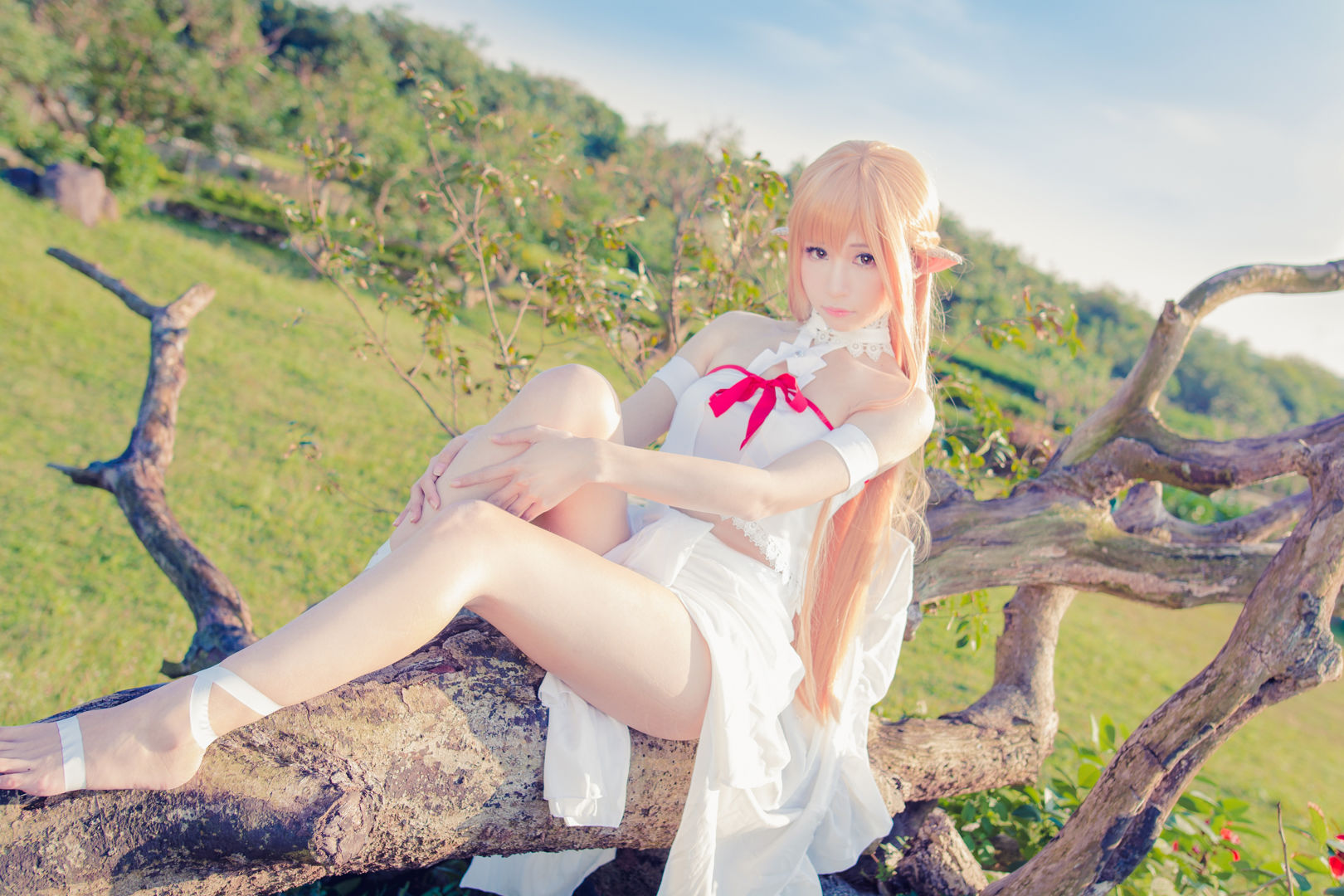 [福利COS] 白神泱 - 亚丝娜