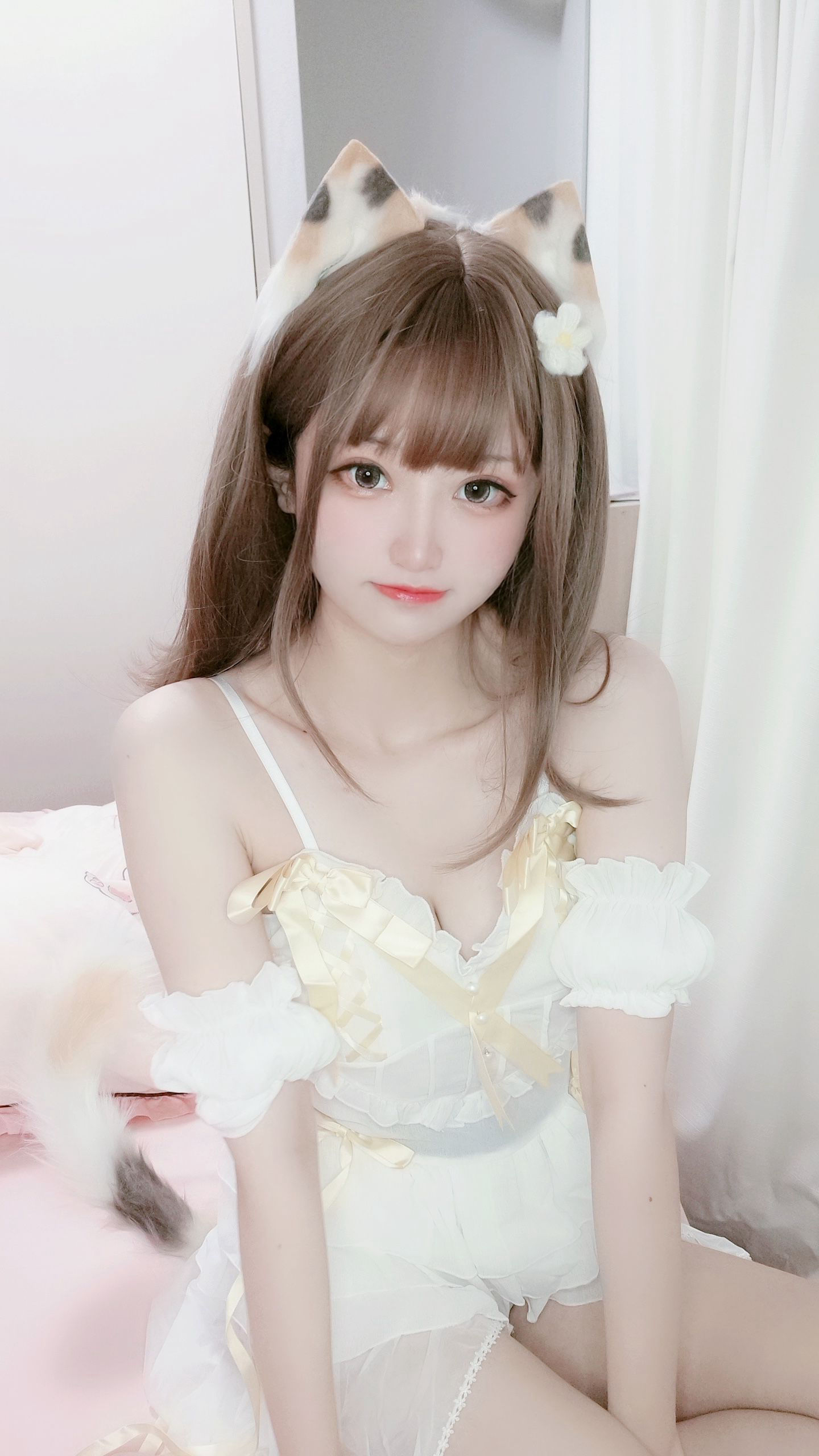 [福利COS] 千阳(ちよ) - 三花猫