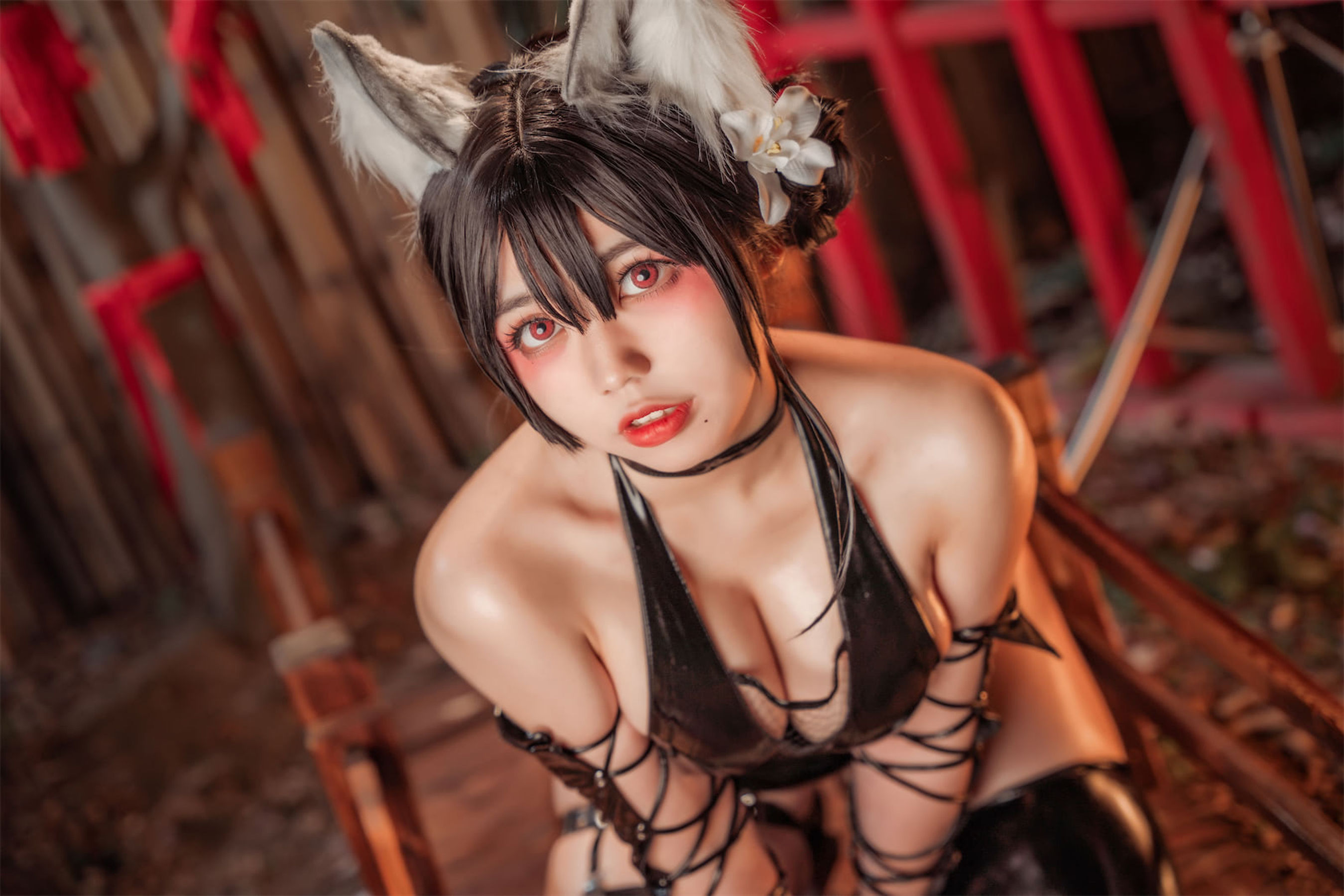 [福利COS] 啊日日_Ganlory - 忍者喵喵