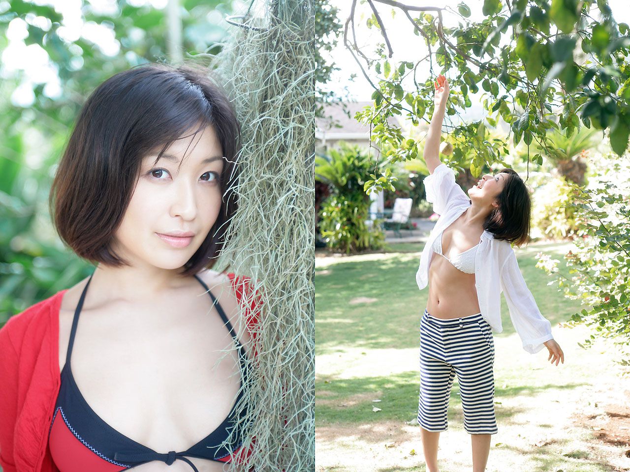 小野真弓 Mayumi Ono 《アロハ☆マインド》 [Image.tv]