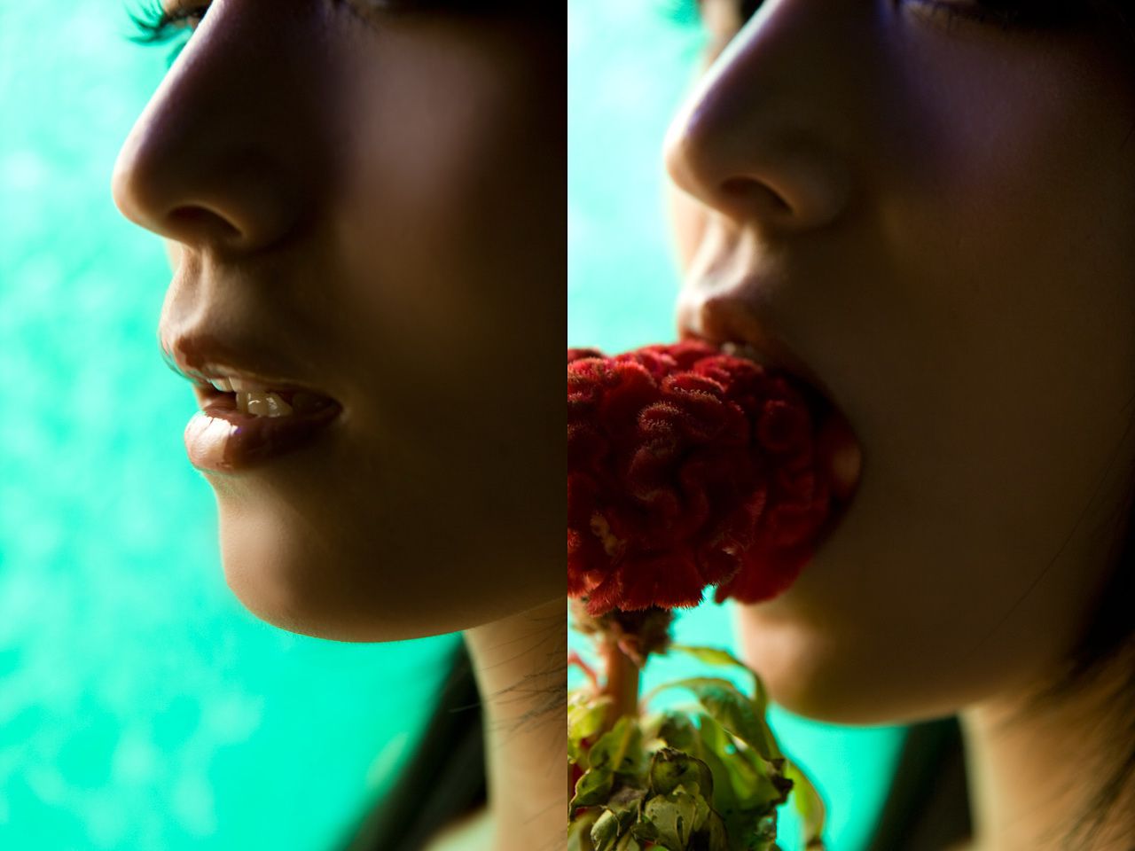 川村ゆきえ/川村雪绘 《Melody s Shadow》 [Image.tv]