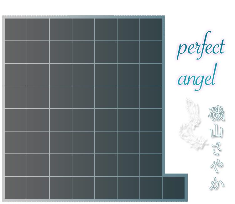 磯山さやか/矶山沙也加《Perfect Angel》 [Image.tv]
