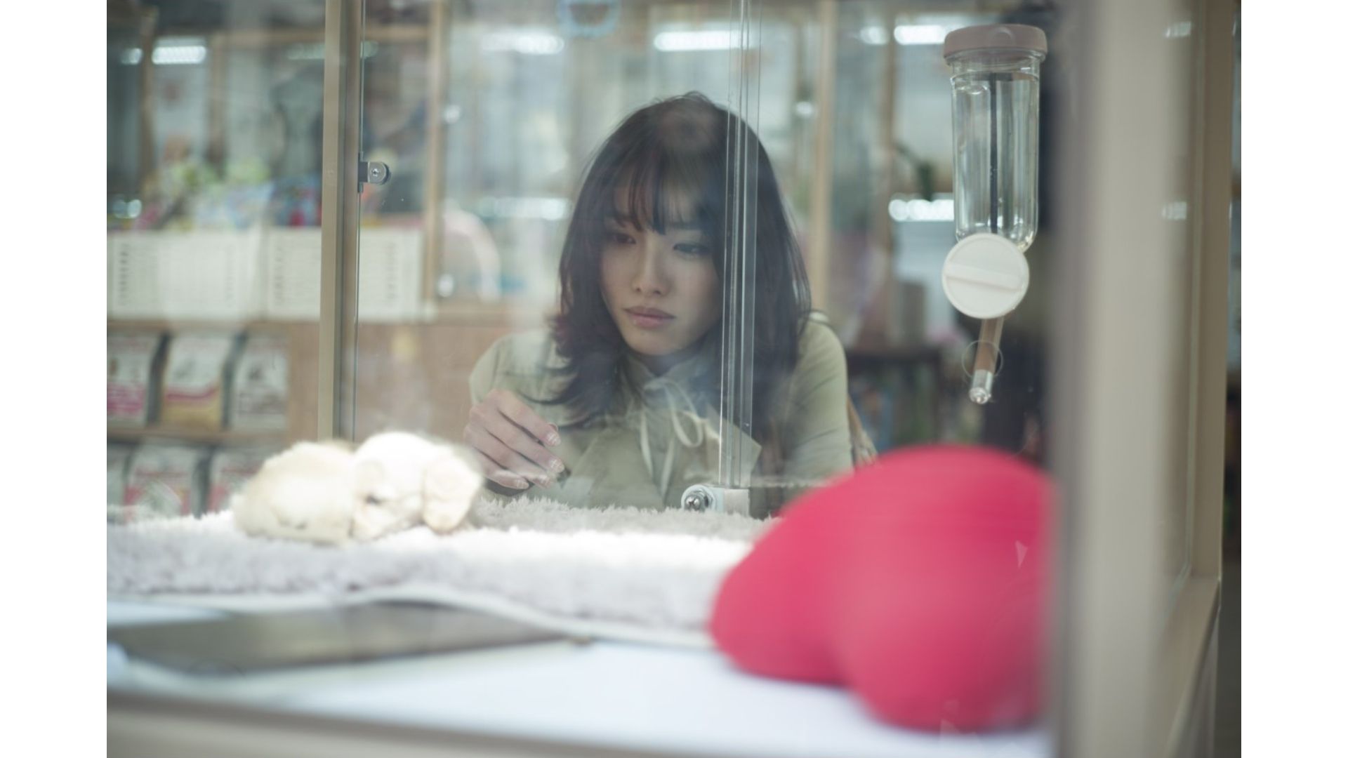 今野杏南《executive suite》 [Image.tv]
