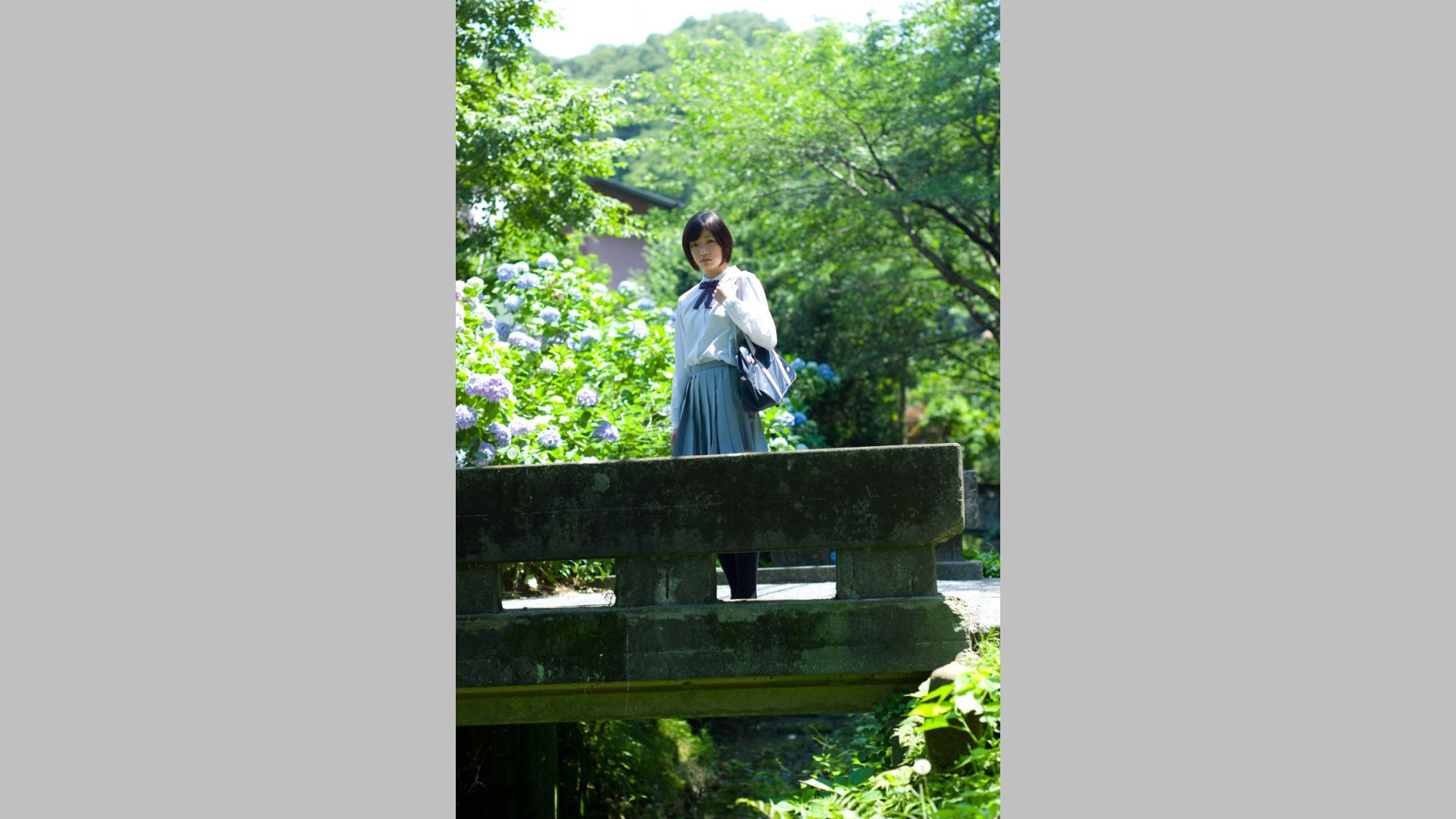 相楽樹/相乐树《鎌倉ものがたり》 [Image.tv]
