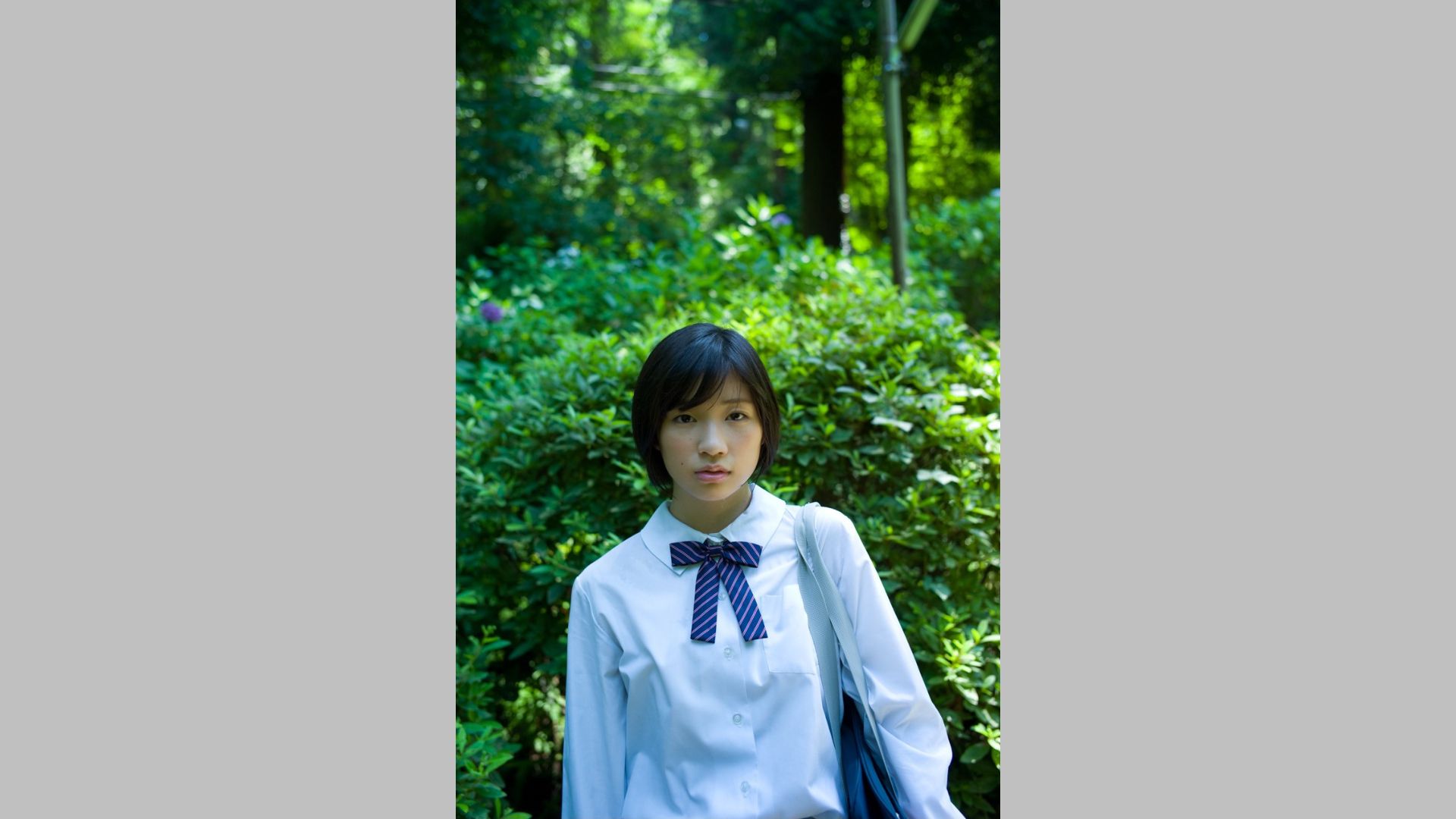 相楽樹/相乐树《鎌倉ものがたり》 [Image.tv]