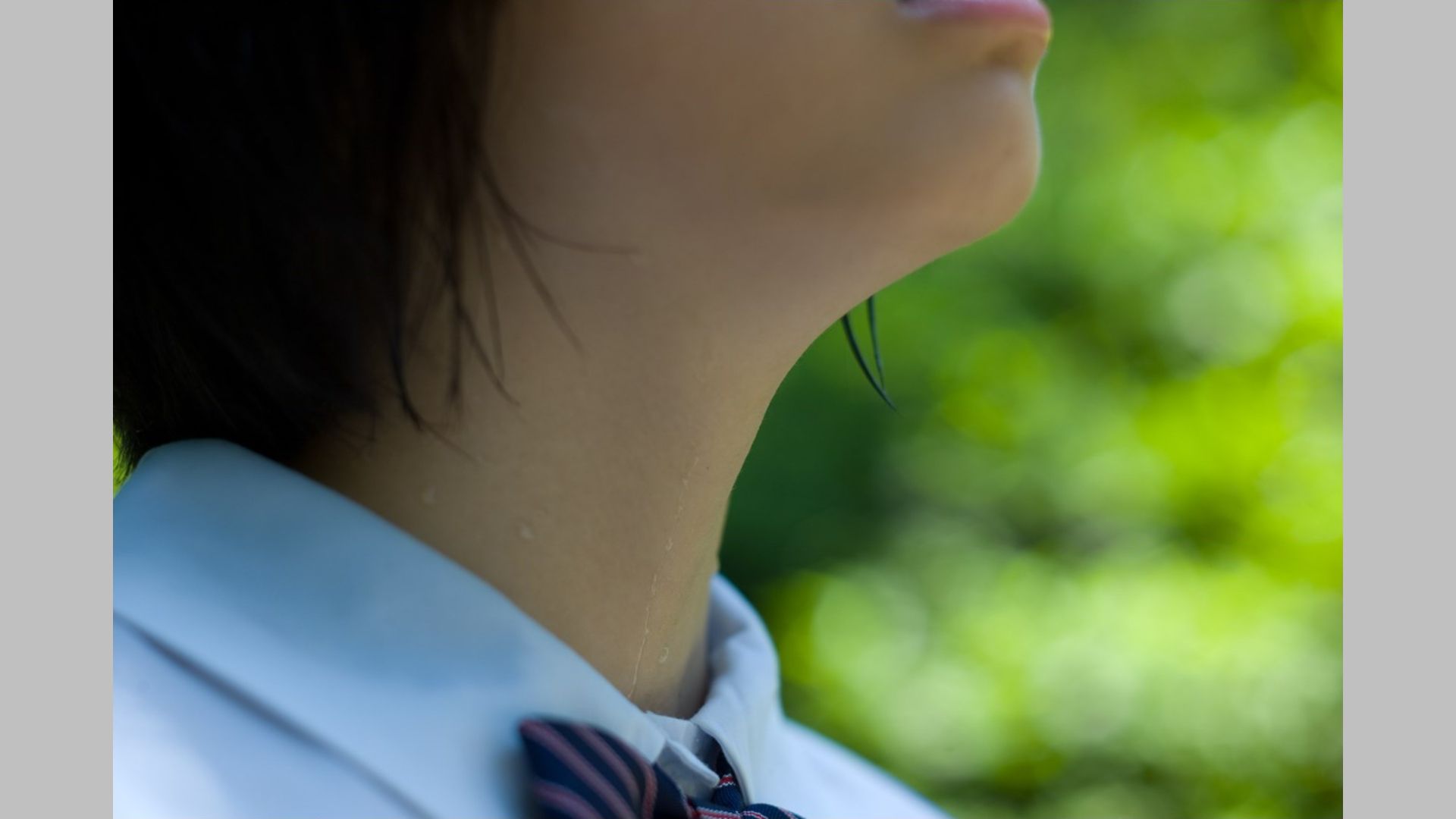 相楽樹/相乐树《鎌倉ものがたり》 [Image.tv]